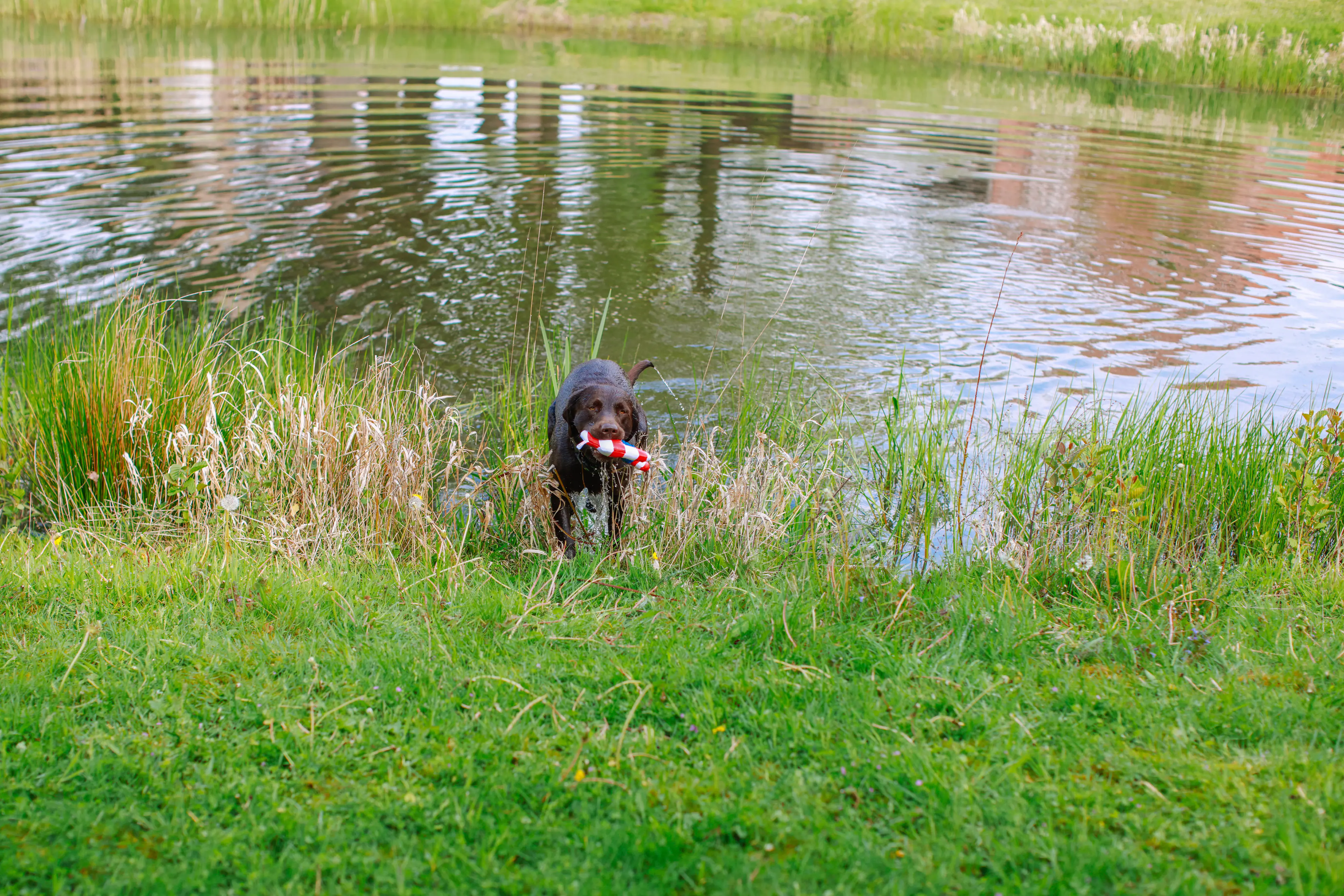 Nobby Anker mit Seil Floating 24,5 cm