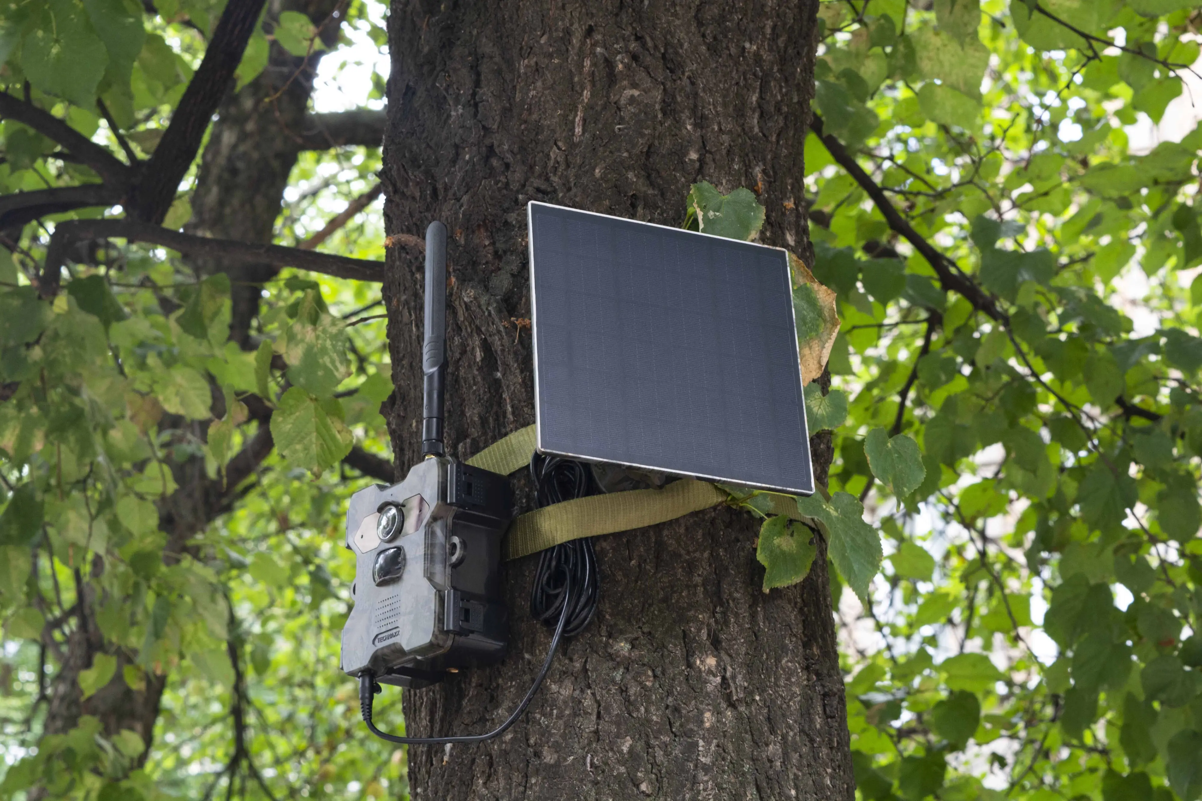 Technaxx 4G Solar-Wildkamera TX-189 