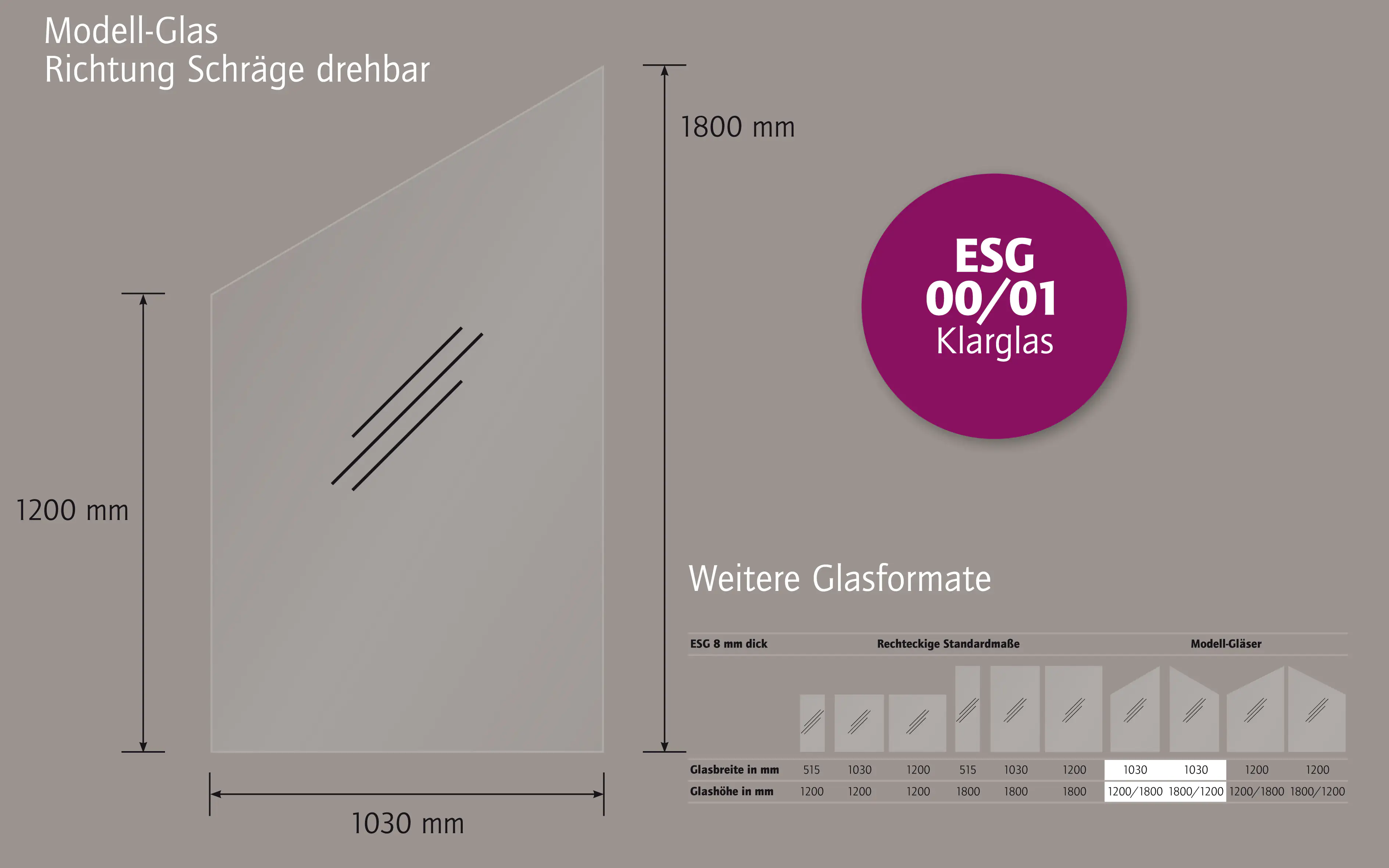 Ambiente Glaszaun Dekor 00/01 schräg 103 x 120/180 cm gehärtetes 8 mm Glas
