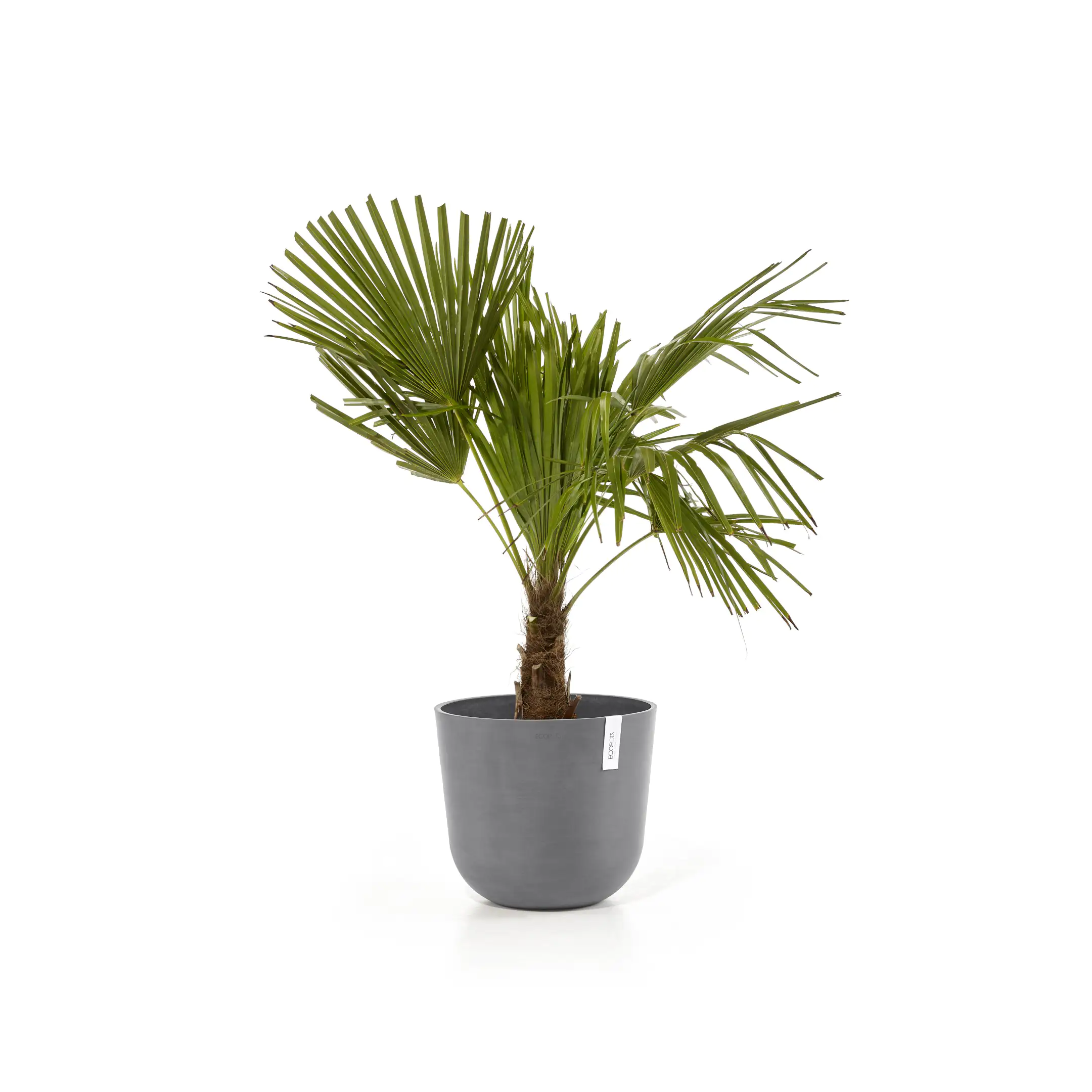 Ecopots Pflanztopf Oslo Ø 35 x 30,5 cm grau