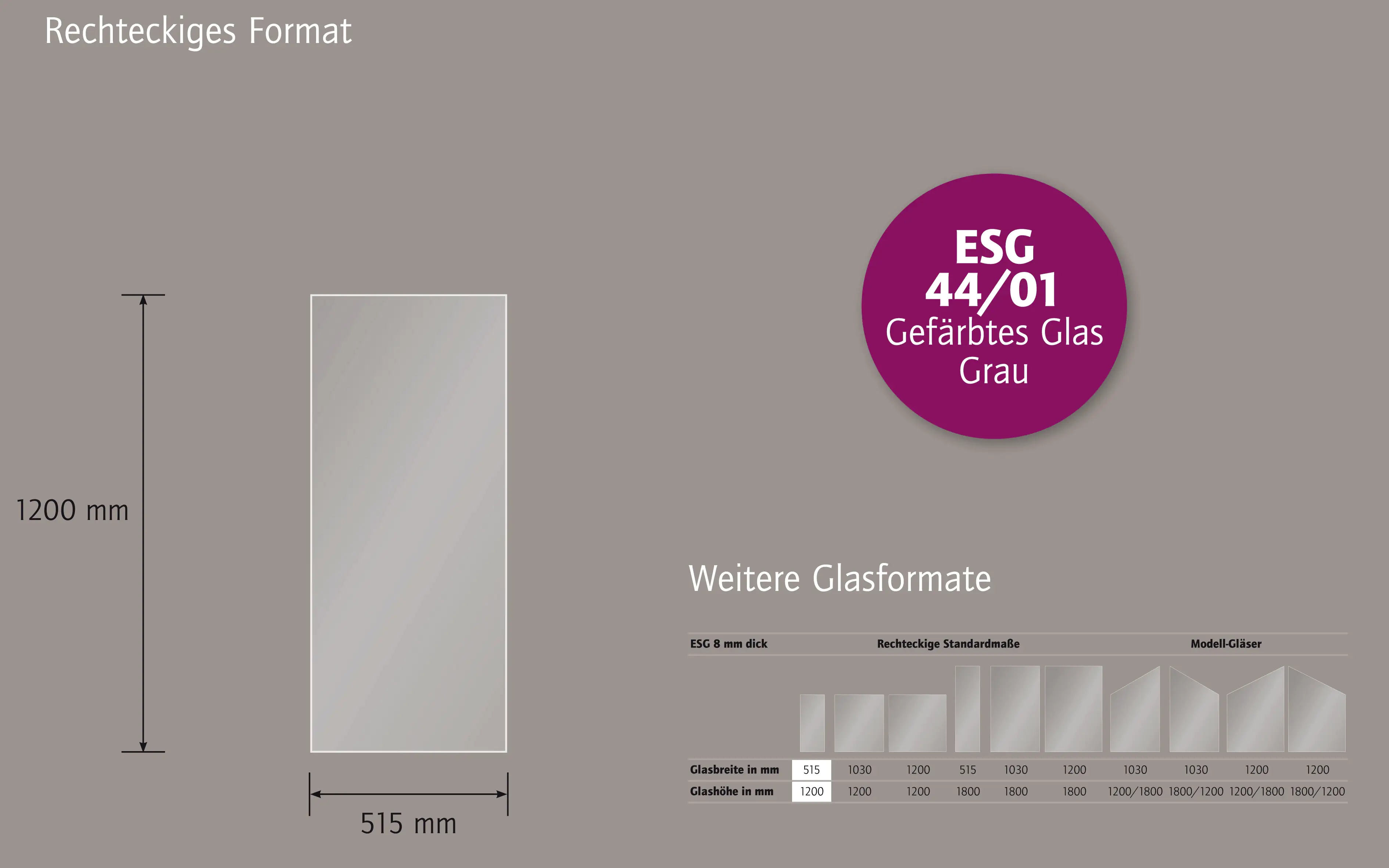 Ambiente Glaszaun B x H: 51,5 cm x 120 cm, gehärtetes 8 mm Glas
