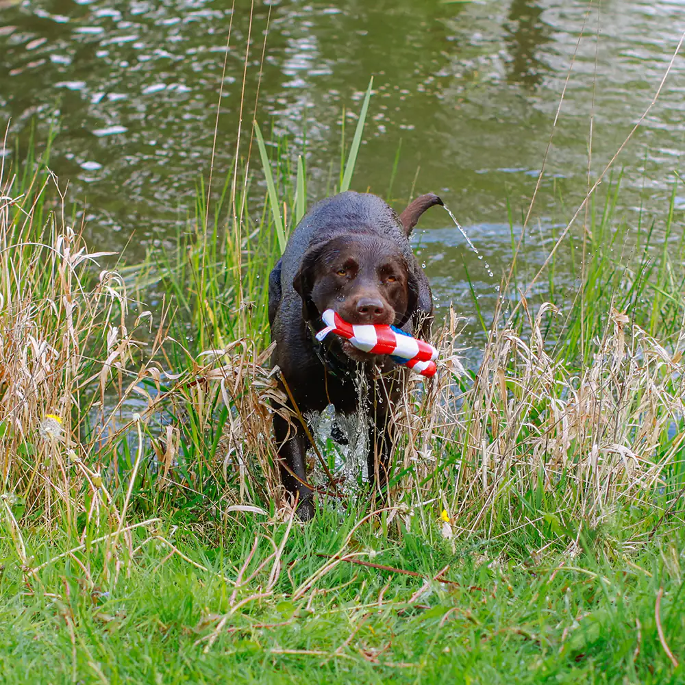 Nobby Anker mit Seil Floating 24,5 cm