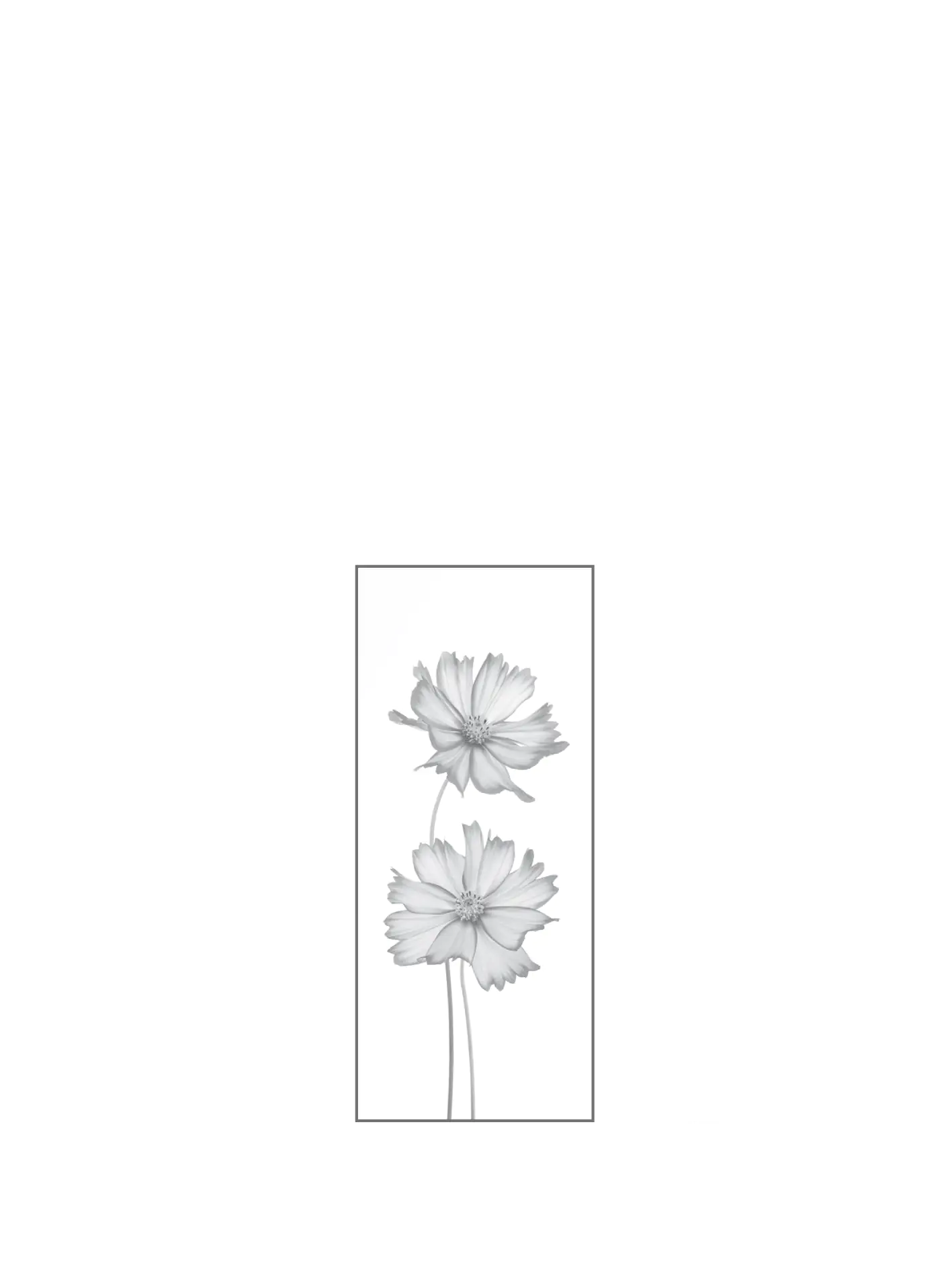 Ambiente Glaszaun Dekor 93 51,5 x 120 cm gehärtetes 8 mm Glas