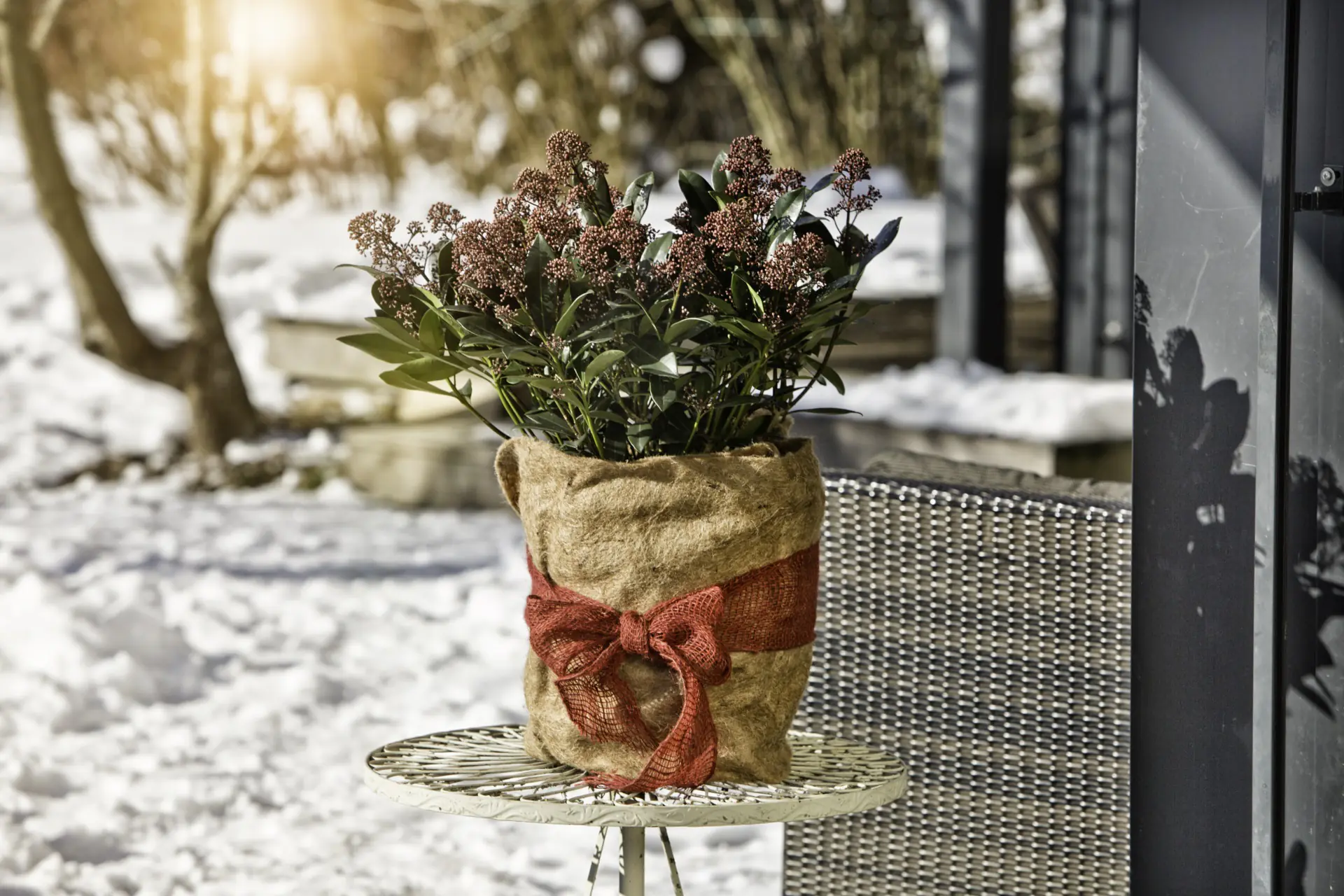 Windhager Winterschutz für Pflanzen Jute 0,5 x 4 m natur