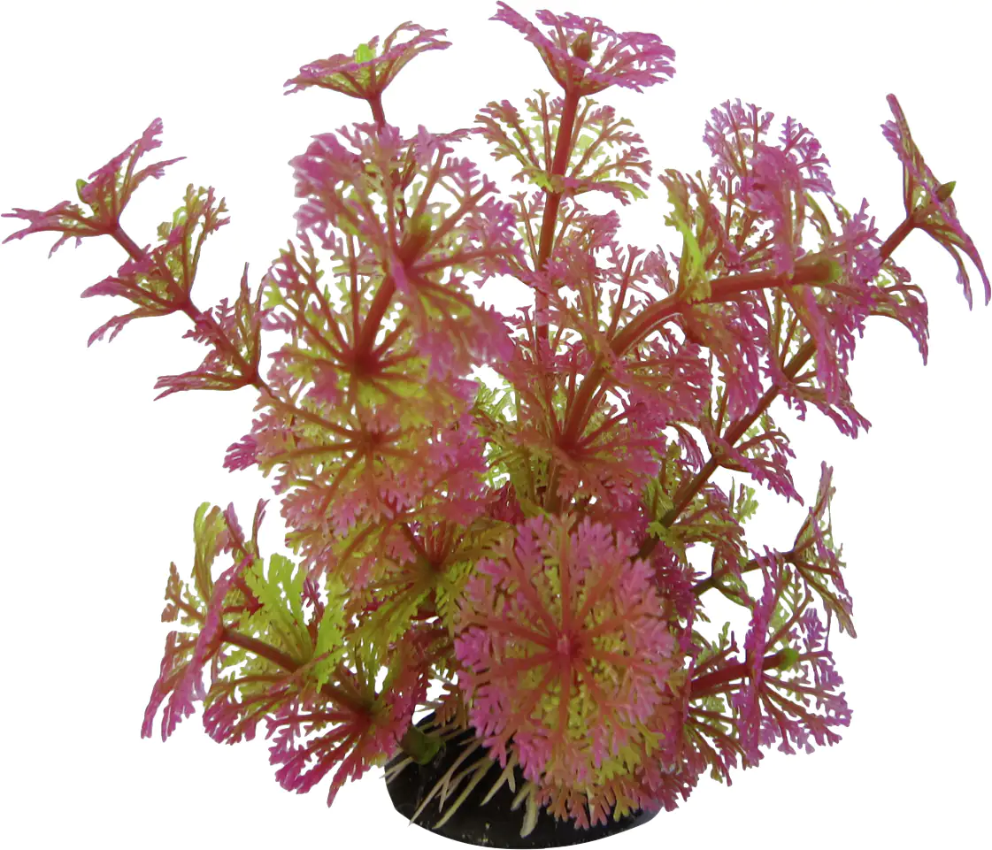 Orbit Aquapflanze Deluxe small Nr. 8 8 - 12 cm