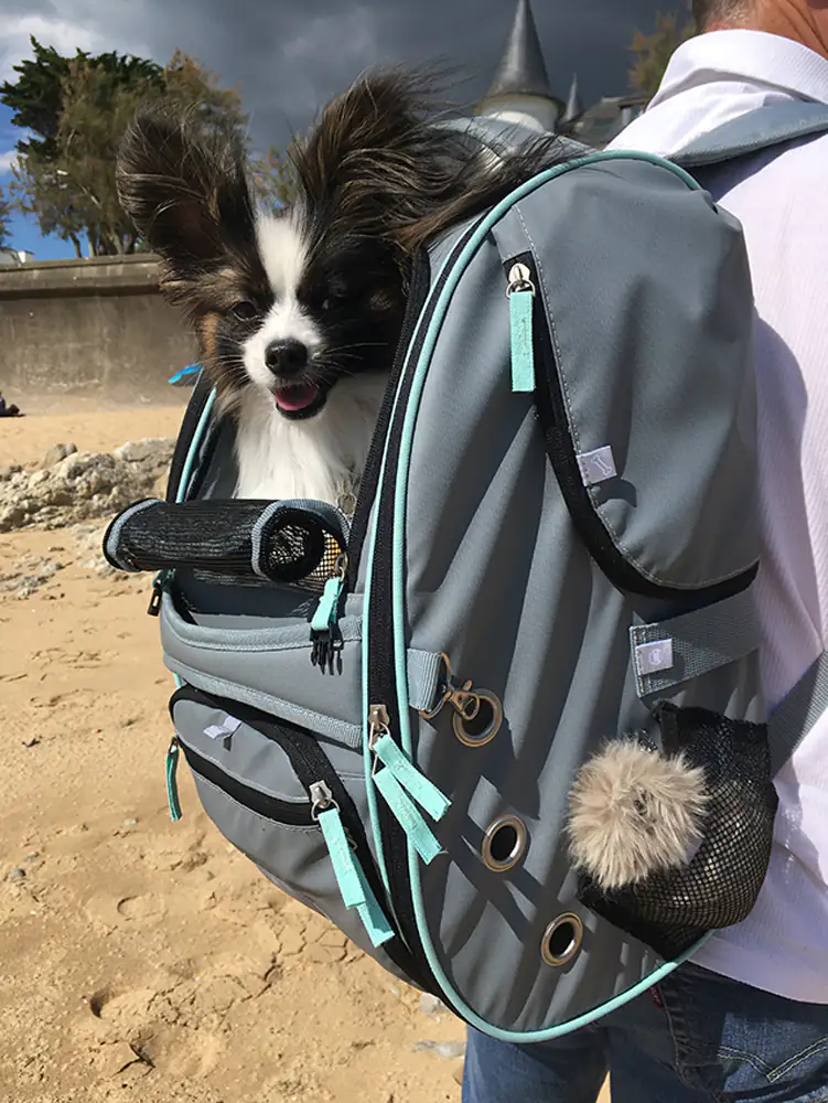 Nobby Multifunktions-Rucksack Nomad grau
