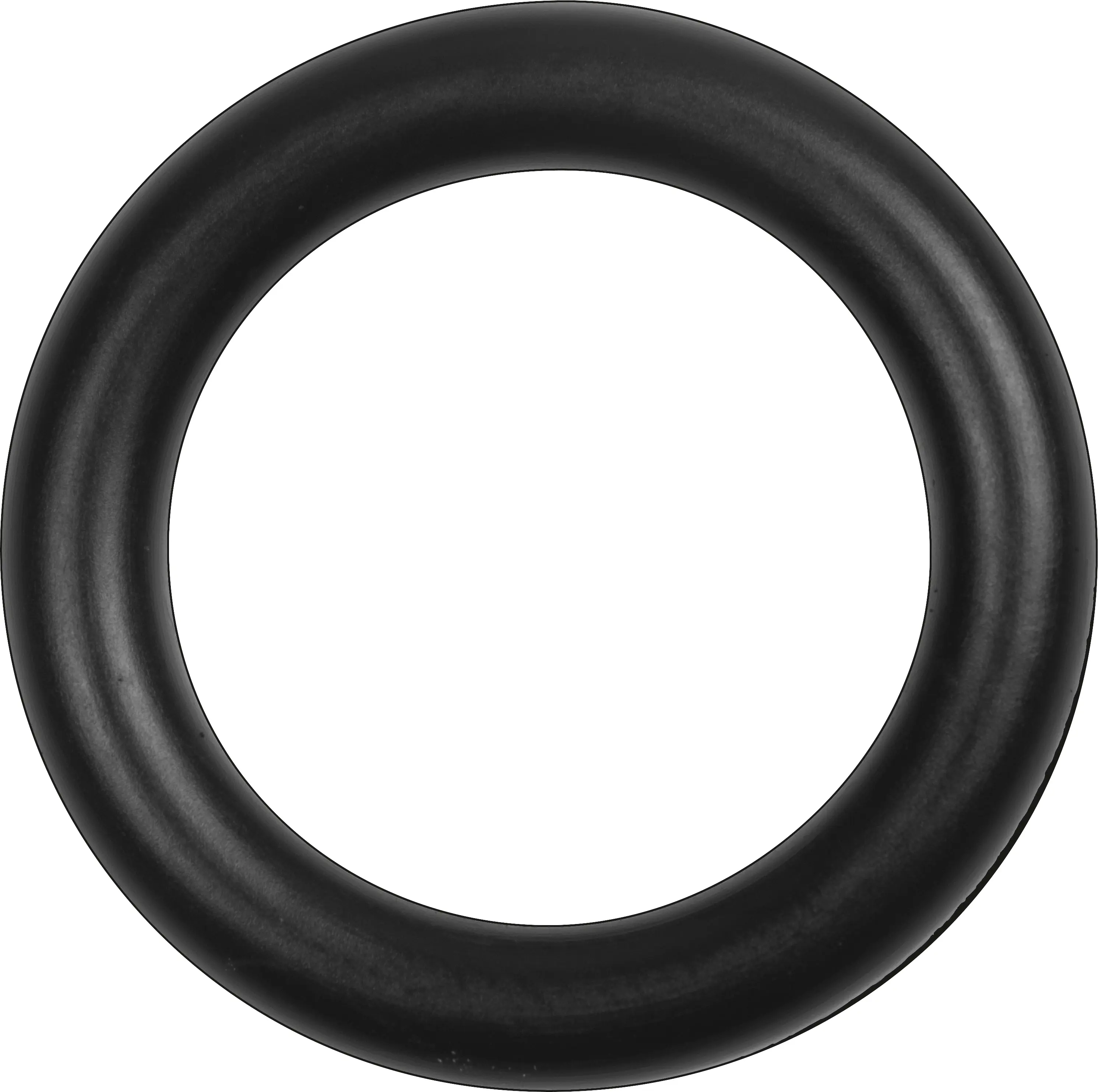 Cornat O-Ring Dichtung 25 mm, 10 Stück
