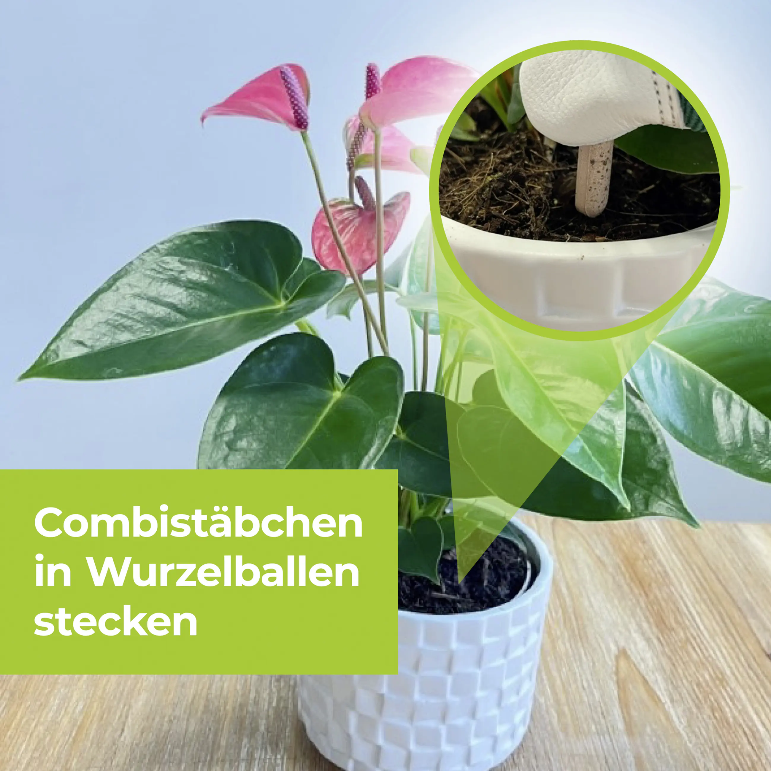 Protect Garden Lizetan Plus Combistäbchen 2 in 1 10 Stück