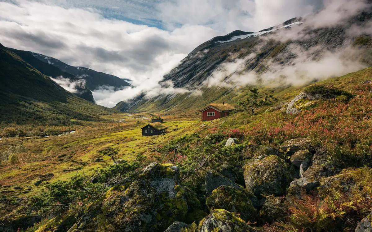Komar Vlies Fototapete Pure Norway 450 x 280 cm 