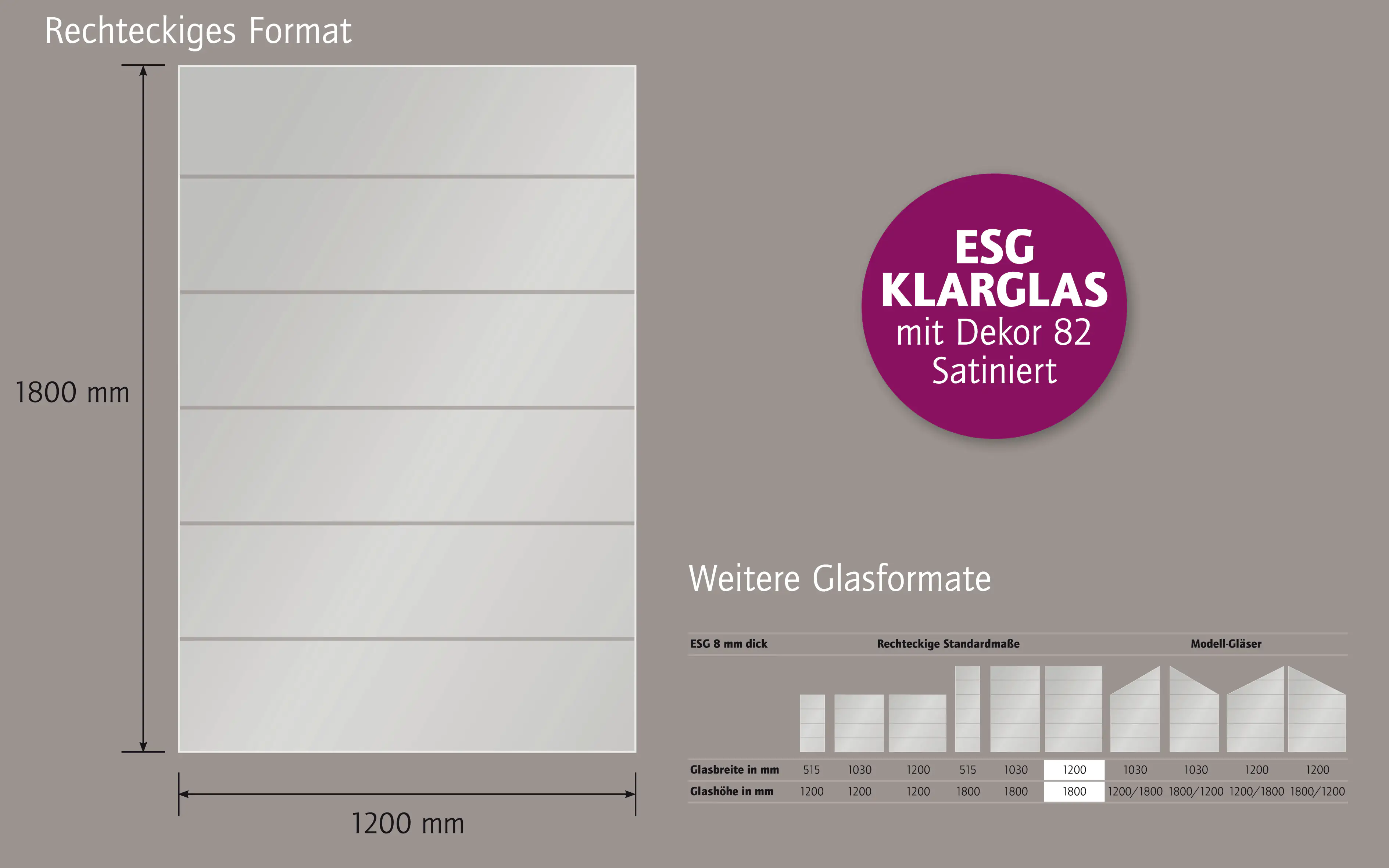 Ambiente Glaszaun Dekor 82 120 x 180 cm gehärtetes 8 mm Glas