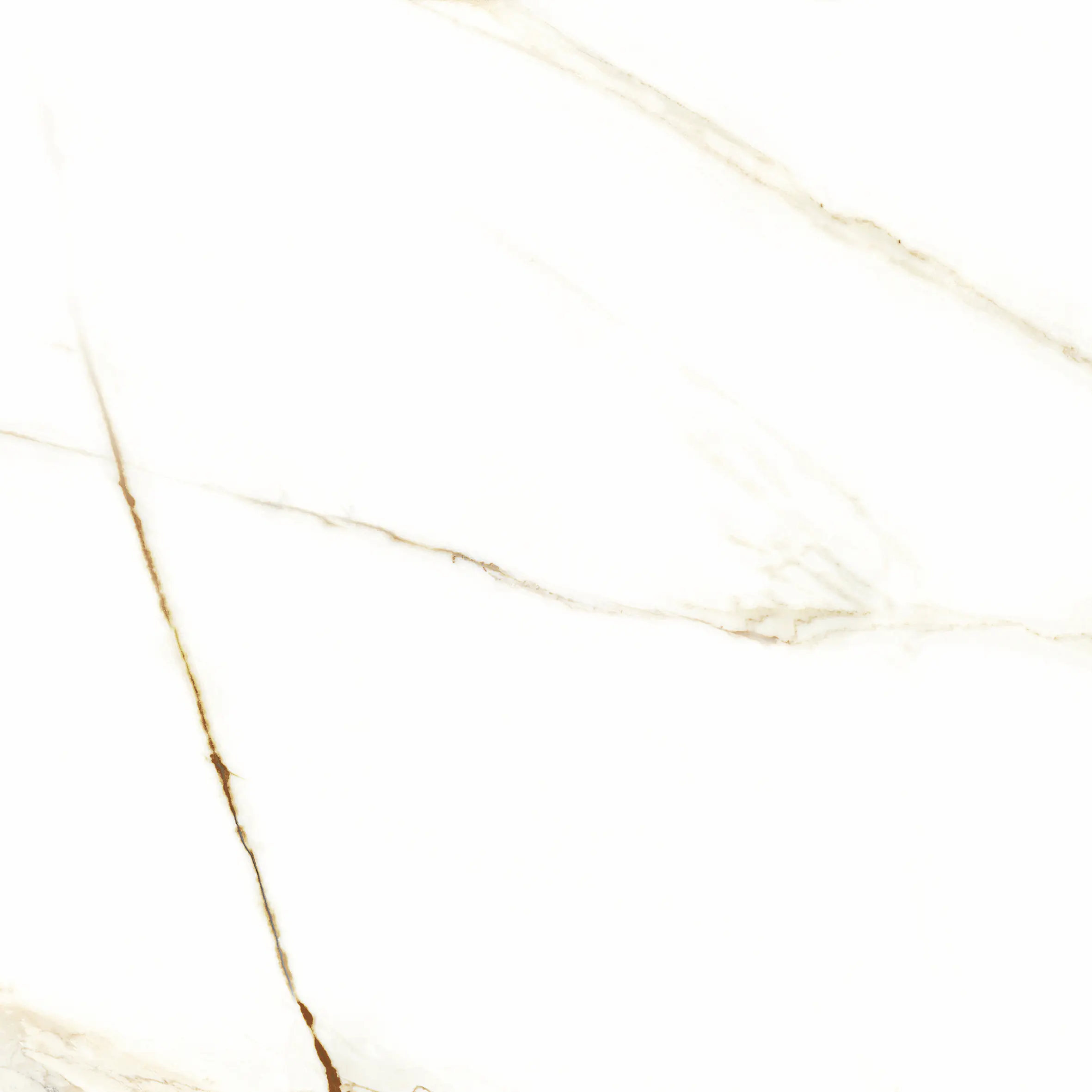 Bodenfliese Feinsteinzeug Venetion Gold 60 x 60 cm weiß