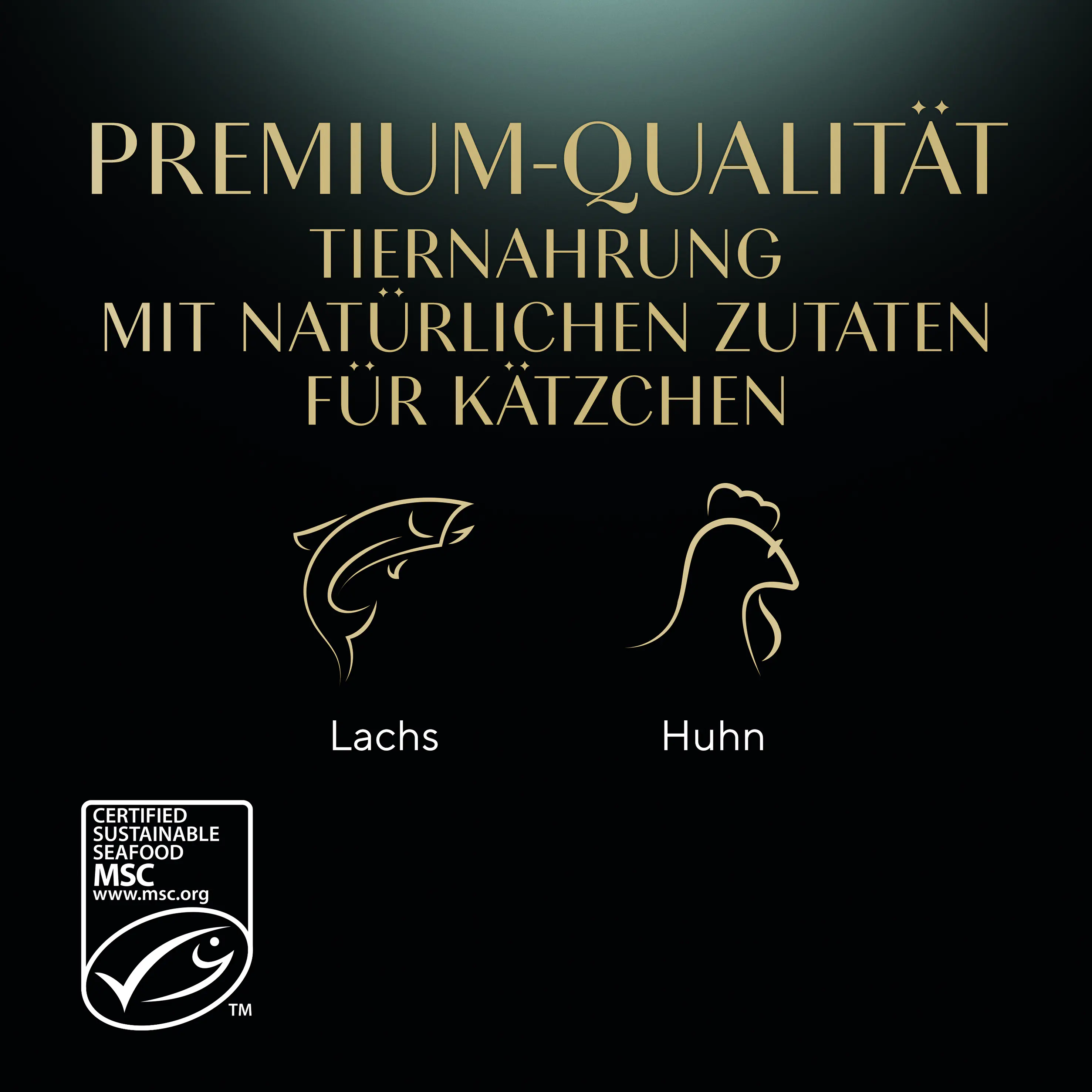 Sheba Katzennassfutter Junior 40 x 85 g Geflügel in Sauce
