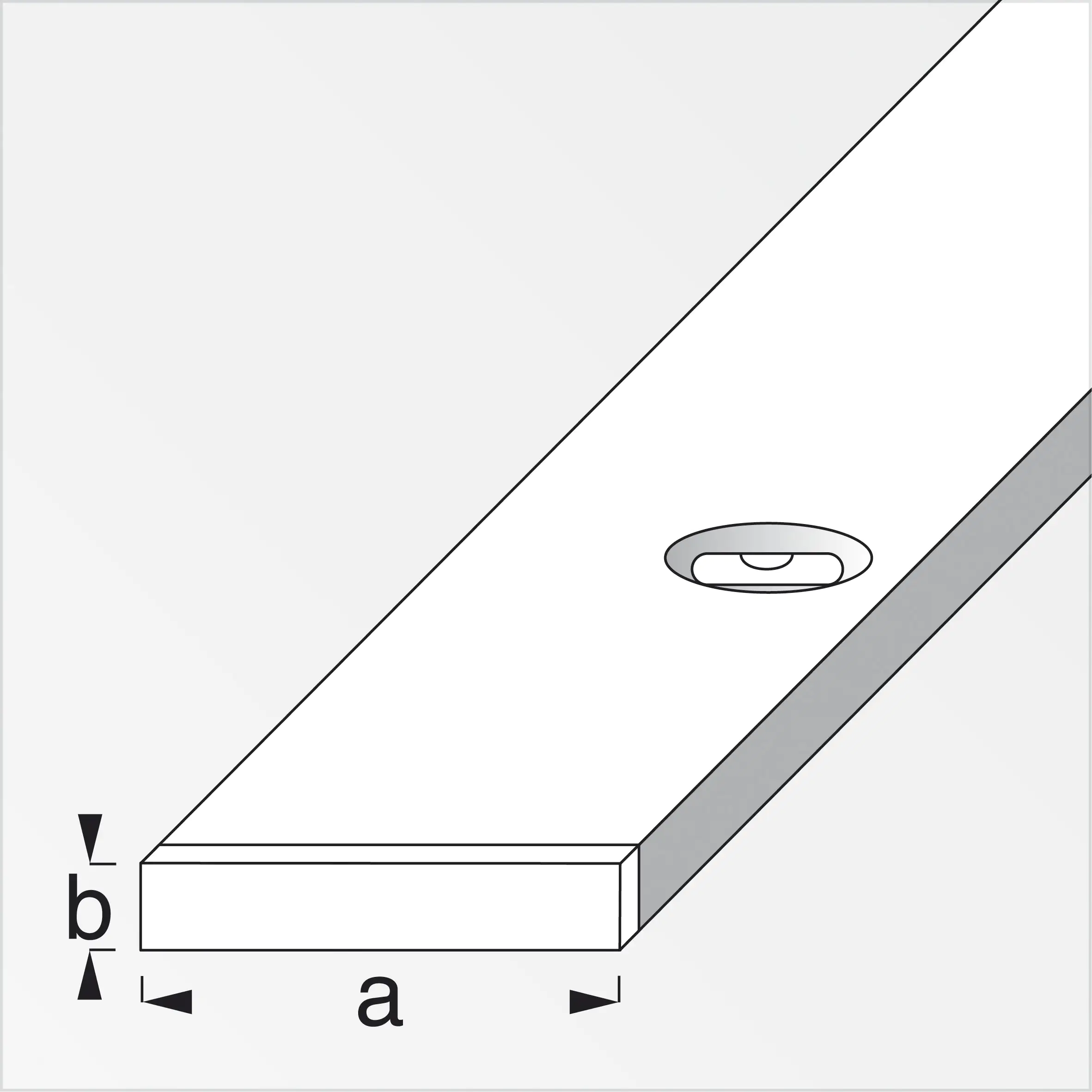 alfer Combitech Richtlatte mit Libelle 300 cm Hartaluminium