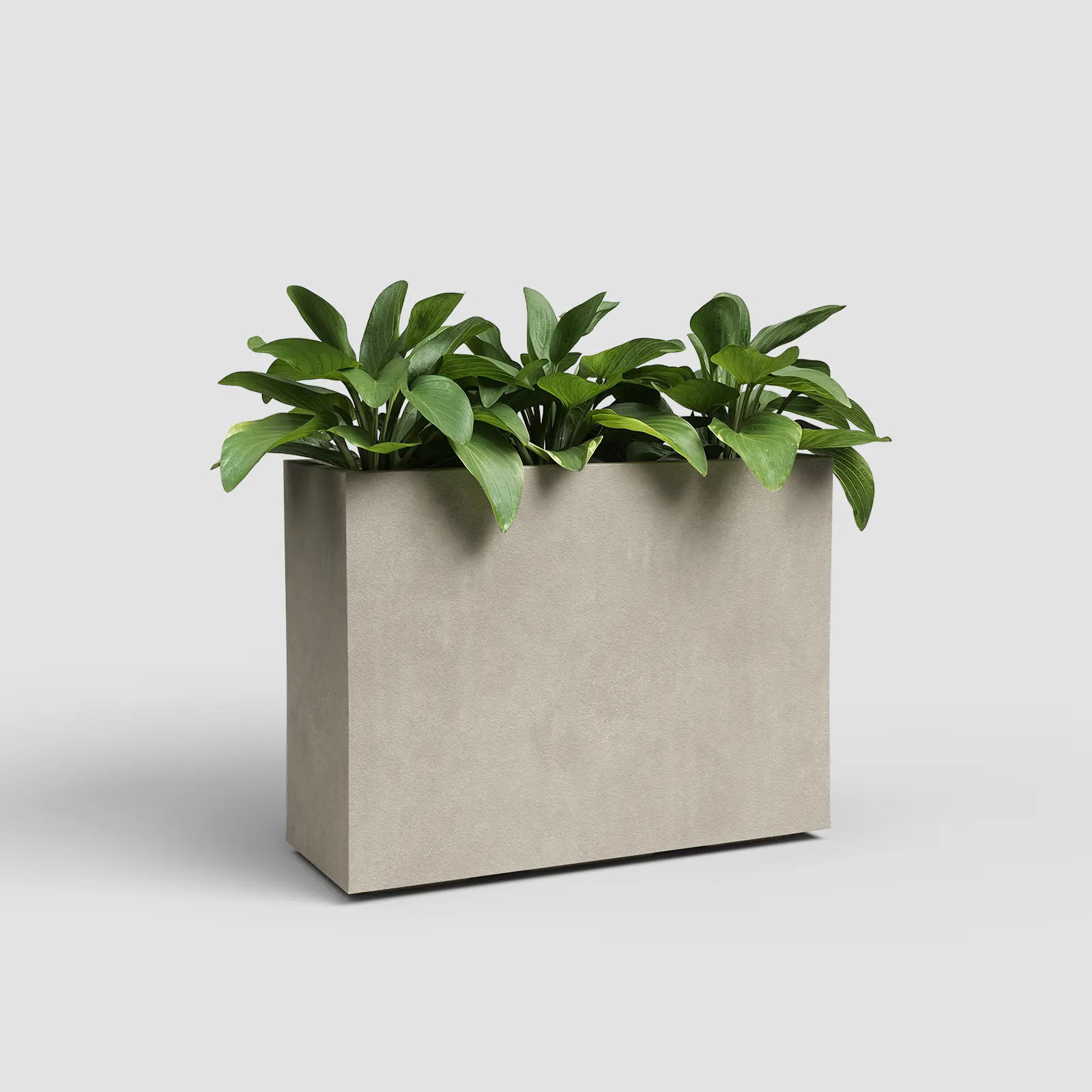 Artevasi Blumenkasten Sydney Kunststoff 80 x 68 cm creme
