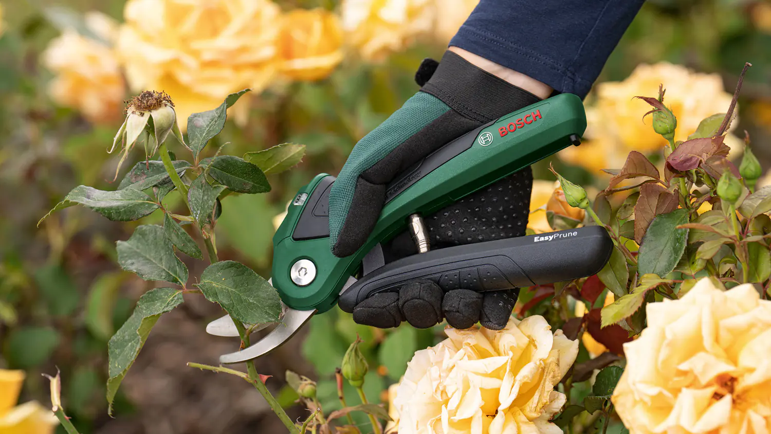 Bosch Akku-Gartenschere EasyPrune inkl. Ladekabel