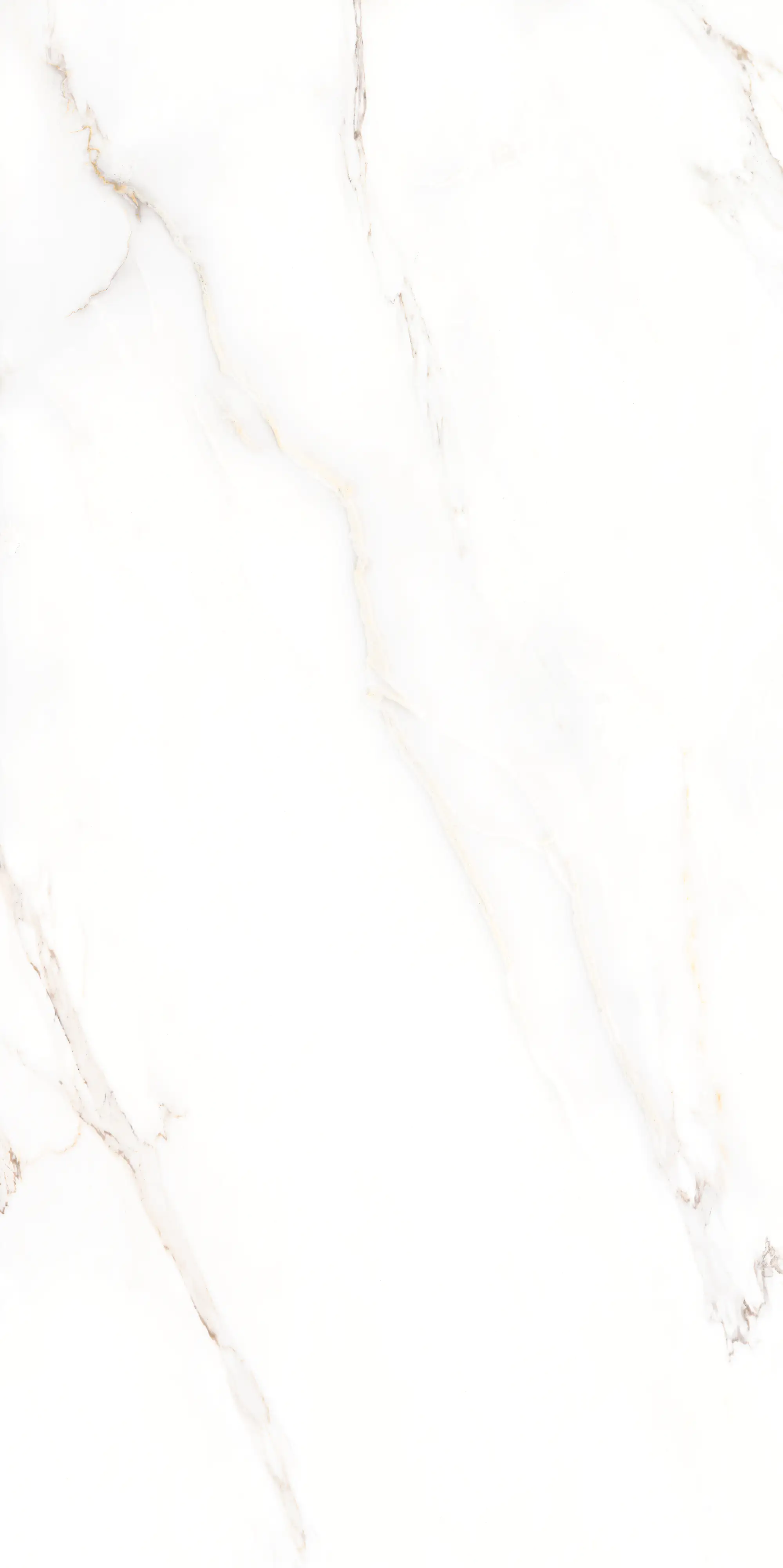 Bodenfliese Feinsteinzeug Calacatta 60 x 120 cm weiß