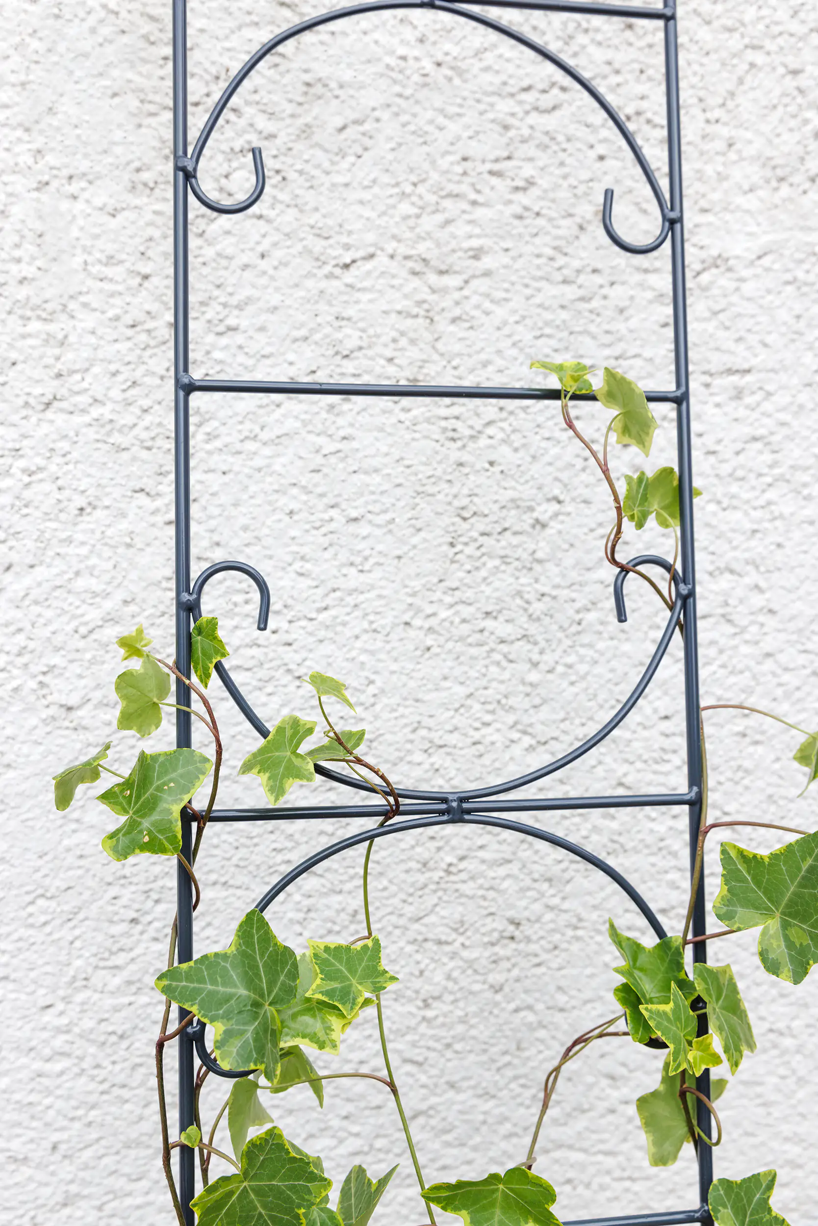 TrendLine Rankhilfe Metall 120 cm dunkelgrau
