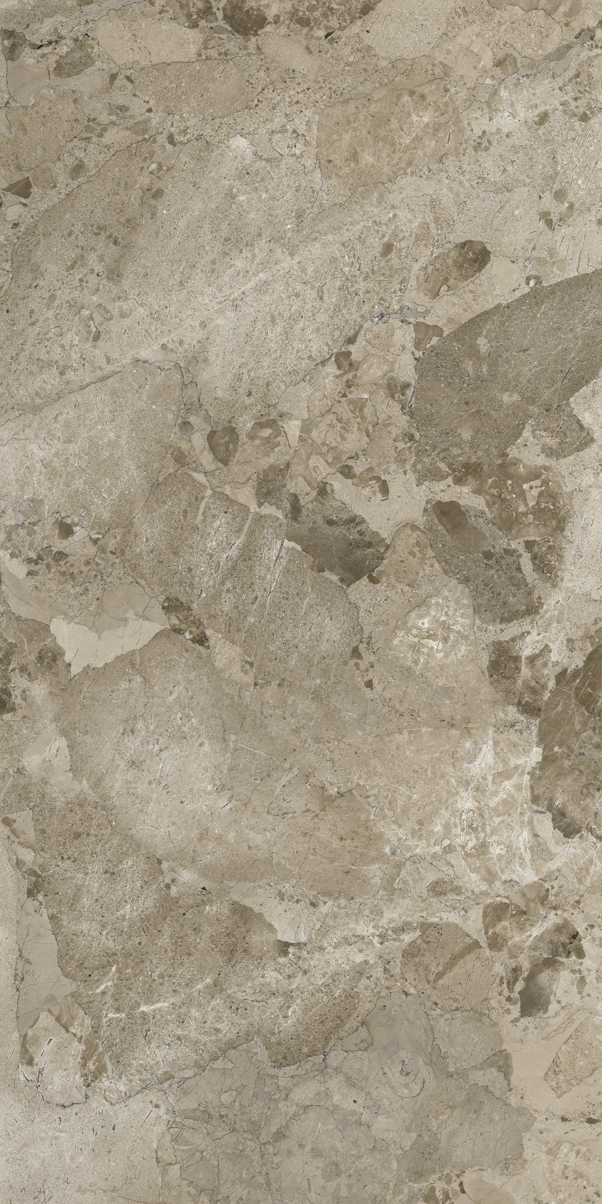Bodenfliese Feinsteinzeug Coppo di Como 60 x 120 cm taupe