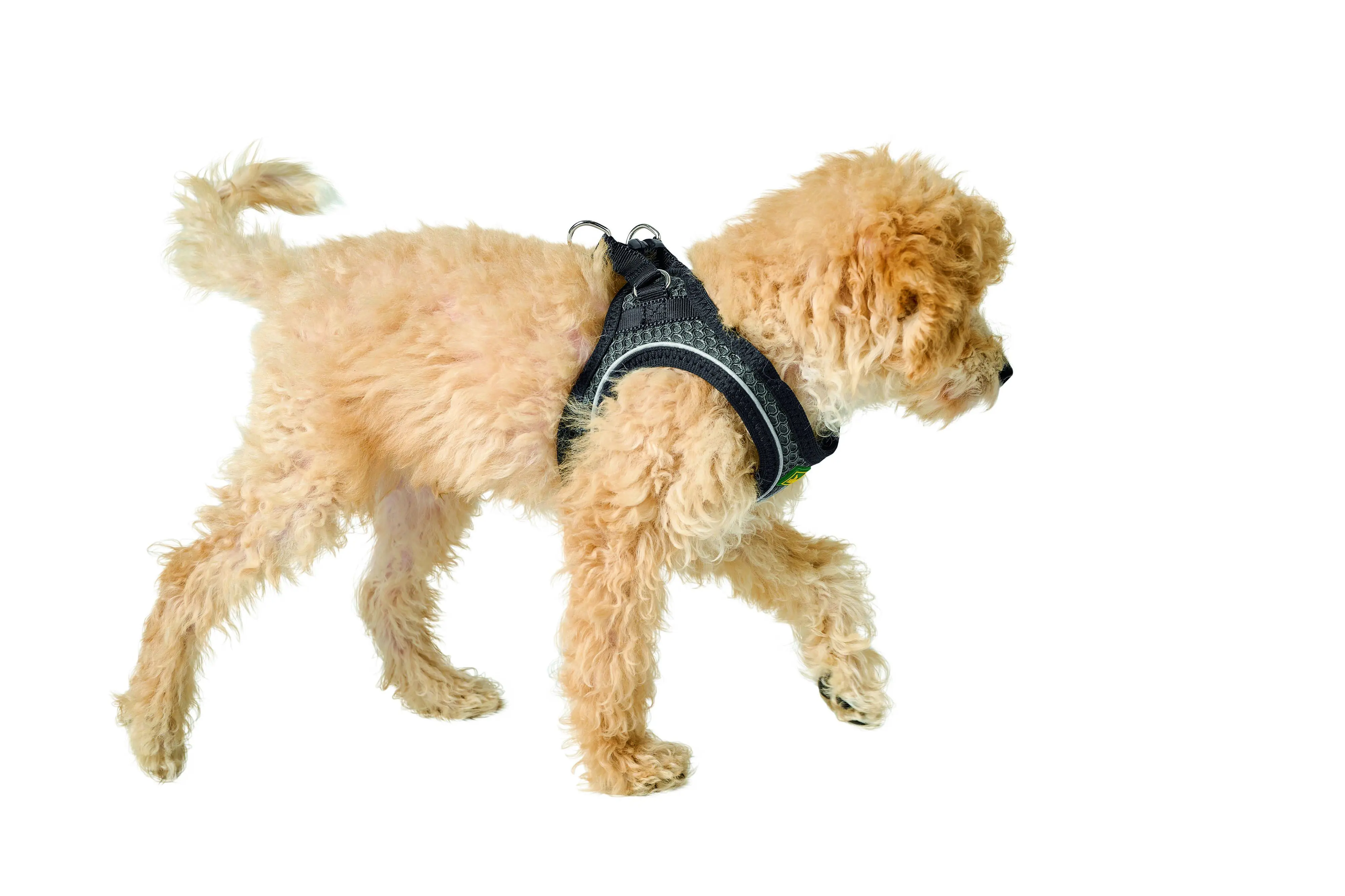 Hunter Hundegeschirr Hilo Comfort M anthrazit