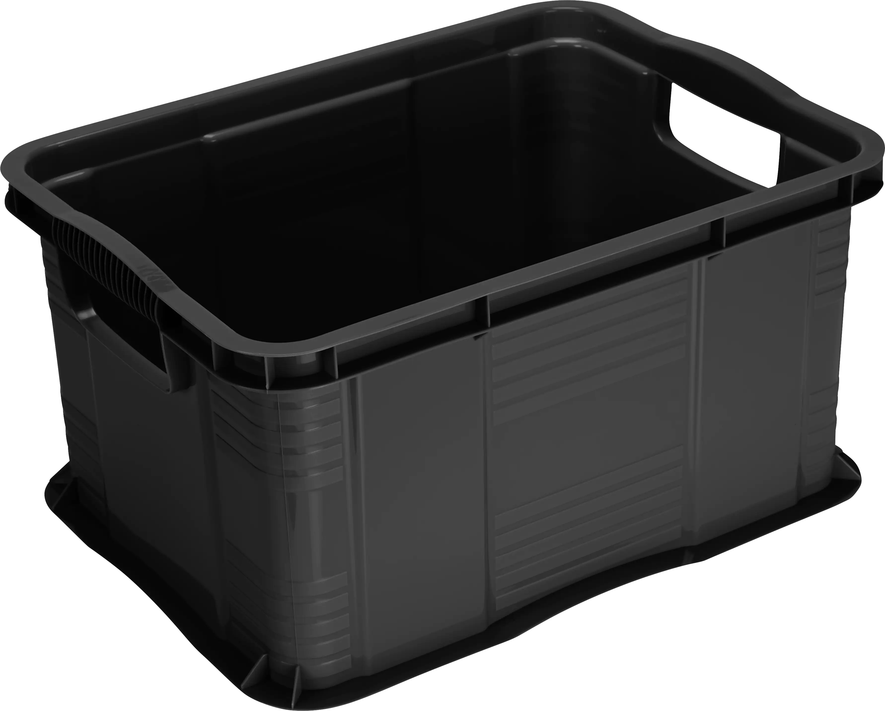 Rotho Aufbewahrungsbox Agilo 39 x 29 cm 17,5 L schwarz