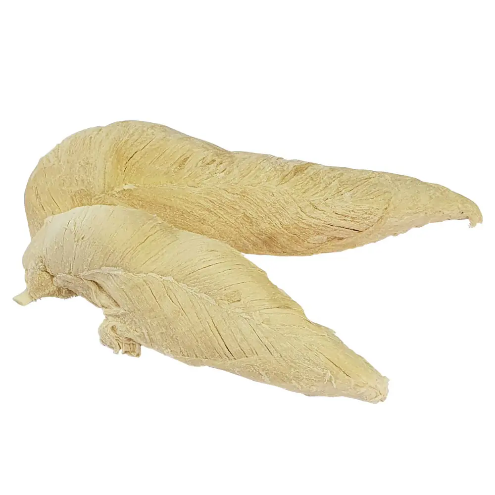 Nobby StarSnack Hundeleckerli Chicken Breast gefriergetrocknet 40 g