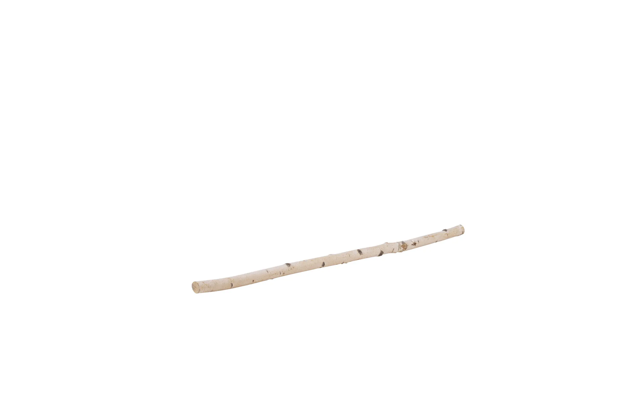 Birkenstamm 90 cm ø 2-4 cm