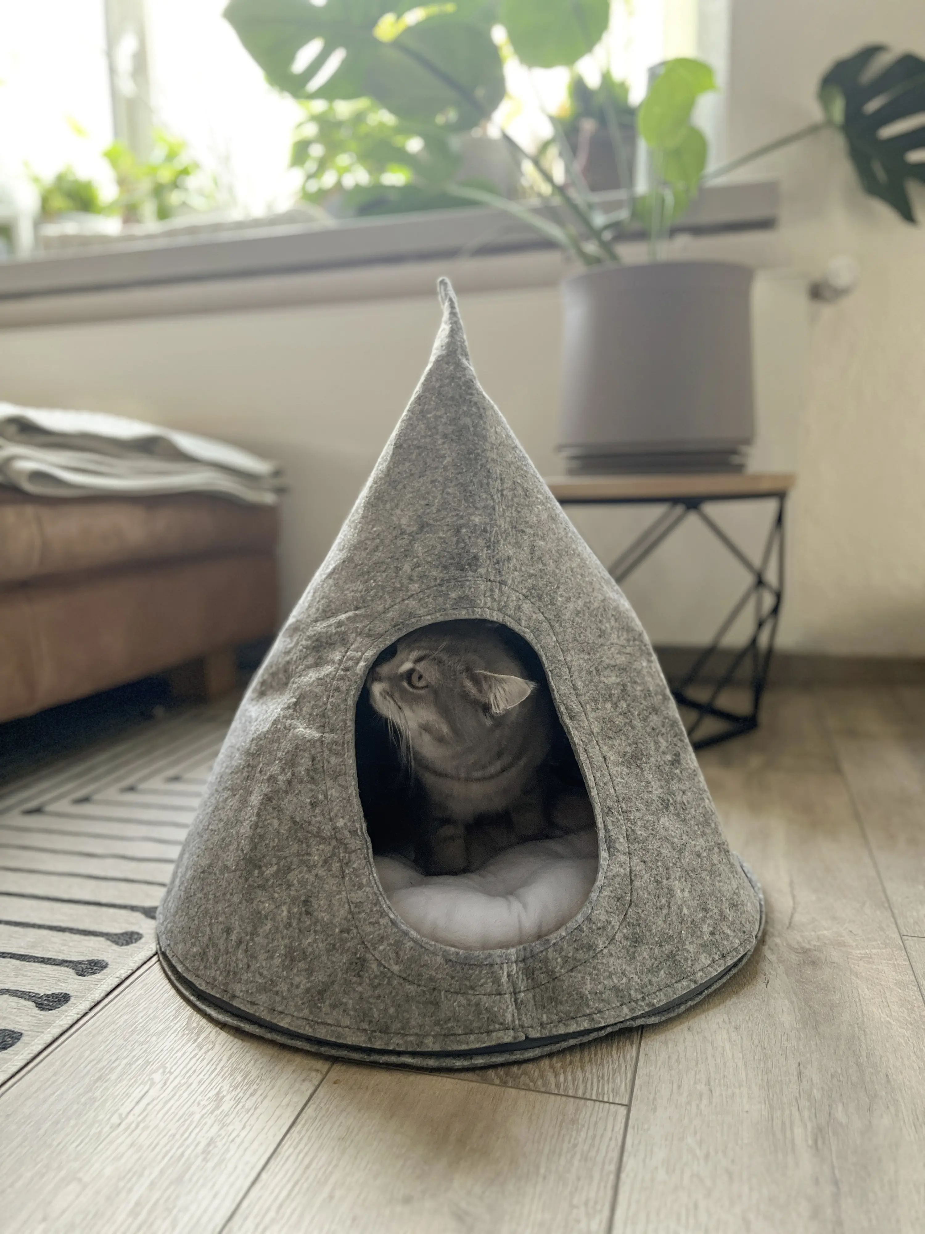 Aumüller Tipi Filz hellgrau mit Reißverschluß waschbar 50 x 50 x 60 cm