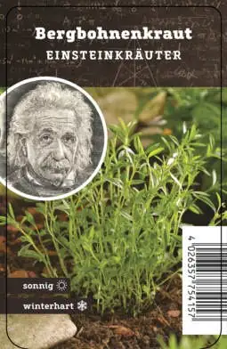 Einsteinkräuter - Bergbohnenkraut 12 cm Topf