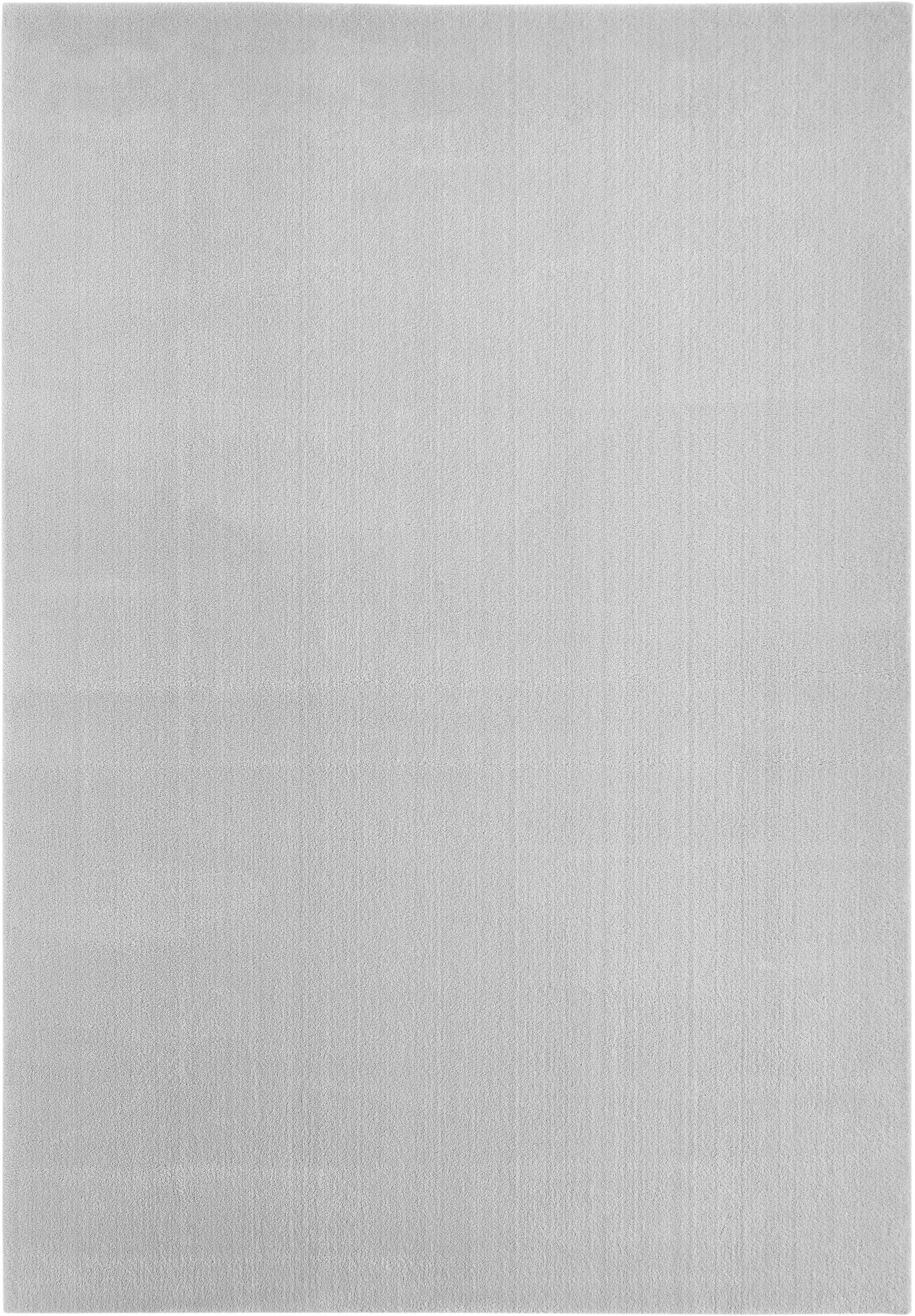 Flachwebteppich Bartolo 120 x 170 cm grau