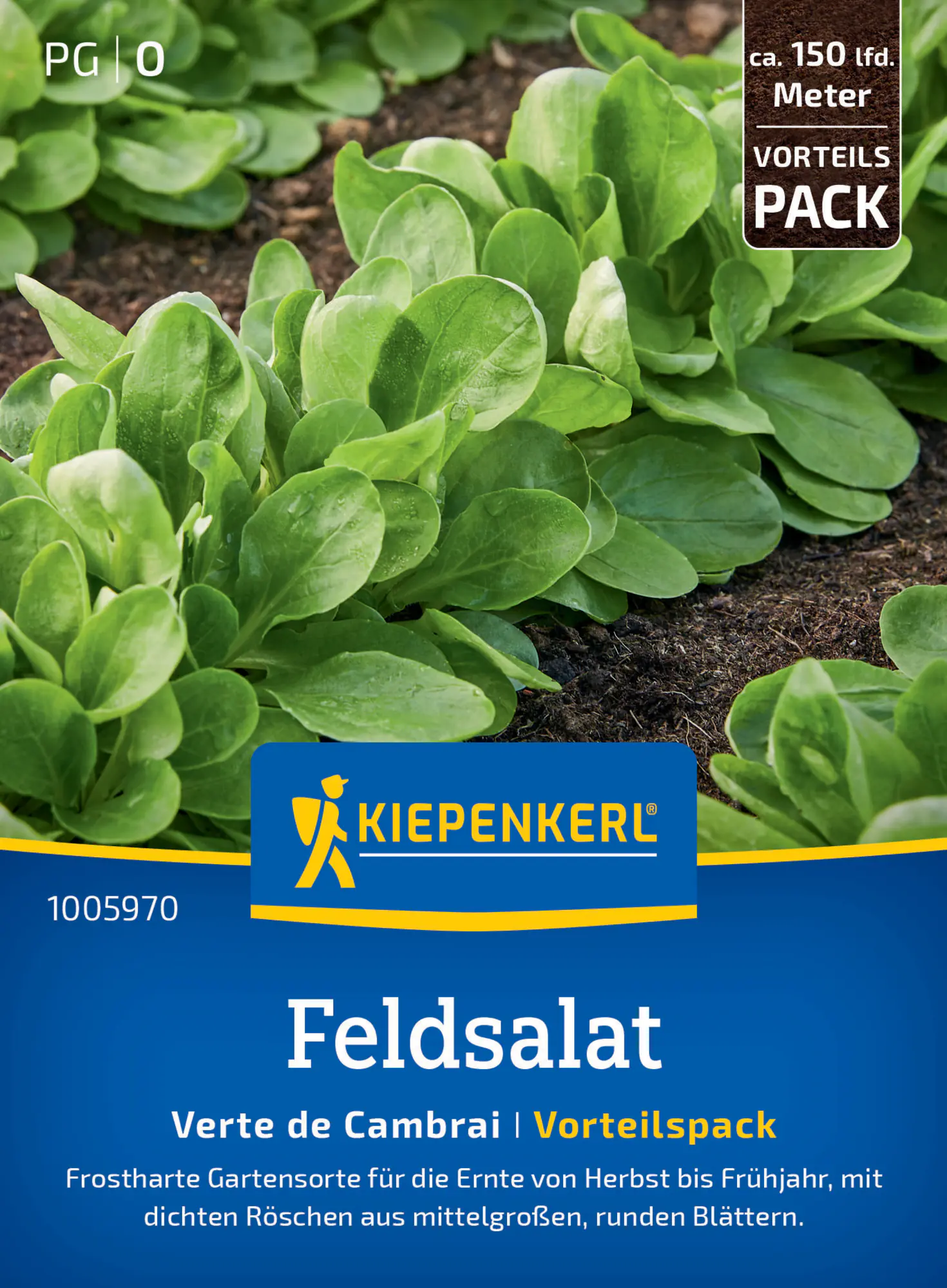 Kiepenkerl Feldsalatsamen Verte de Cambrai, Vorteilspackung