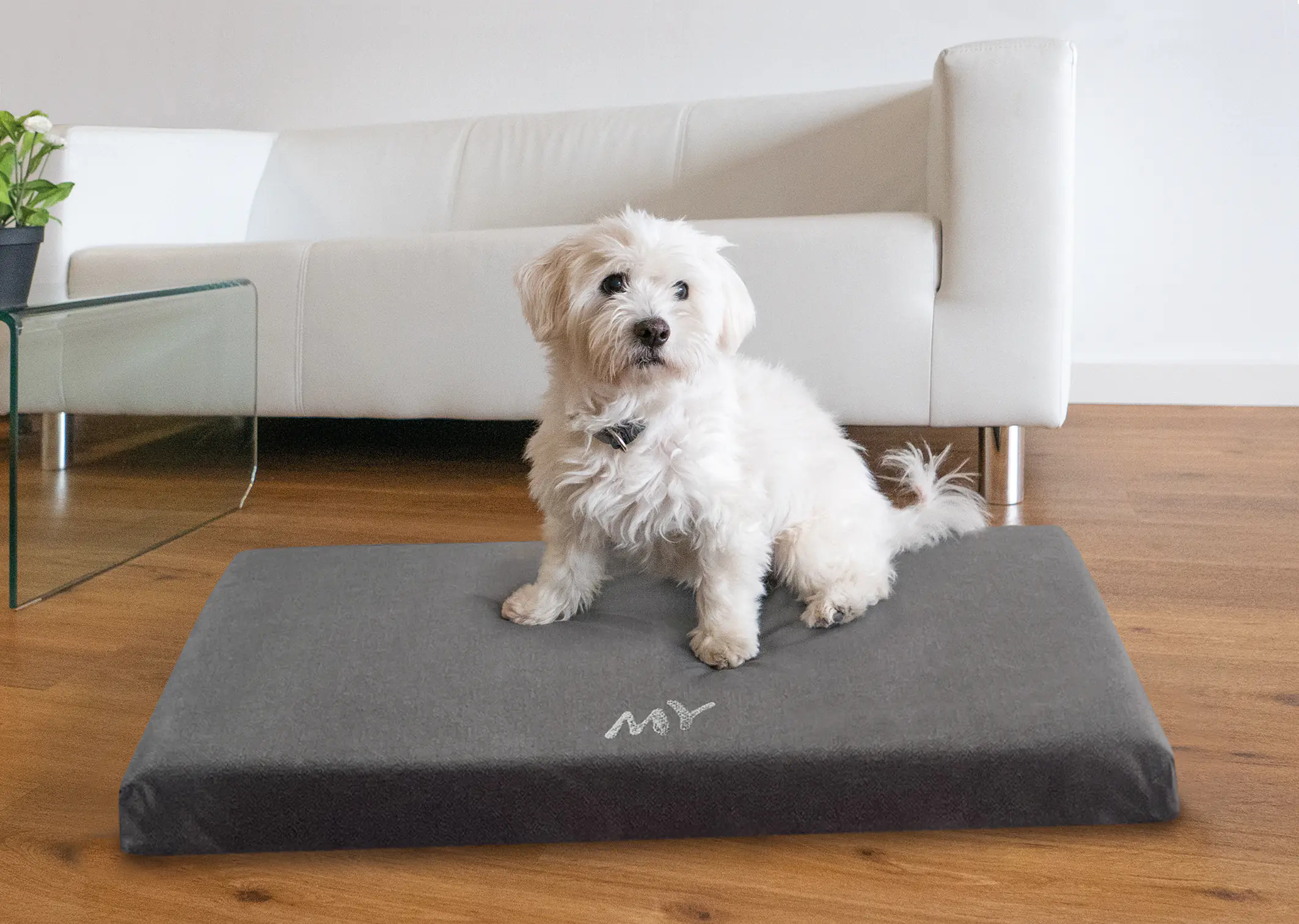 MyPlace Hundebett Tuva anthrazit