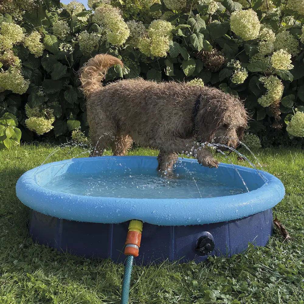 Nobby Hundepool Splash Pool 2 in 1