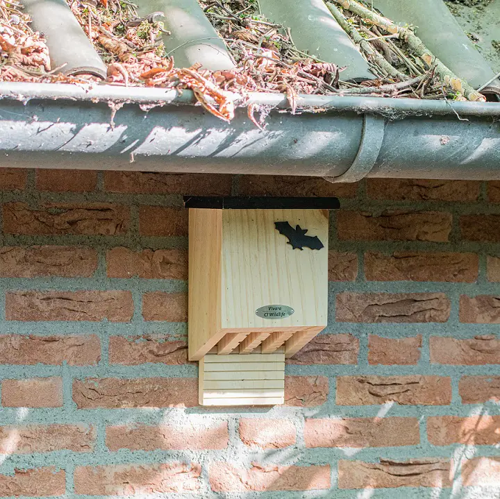 CJ Wildbird Fledermausnistkasten Falkenstein