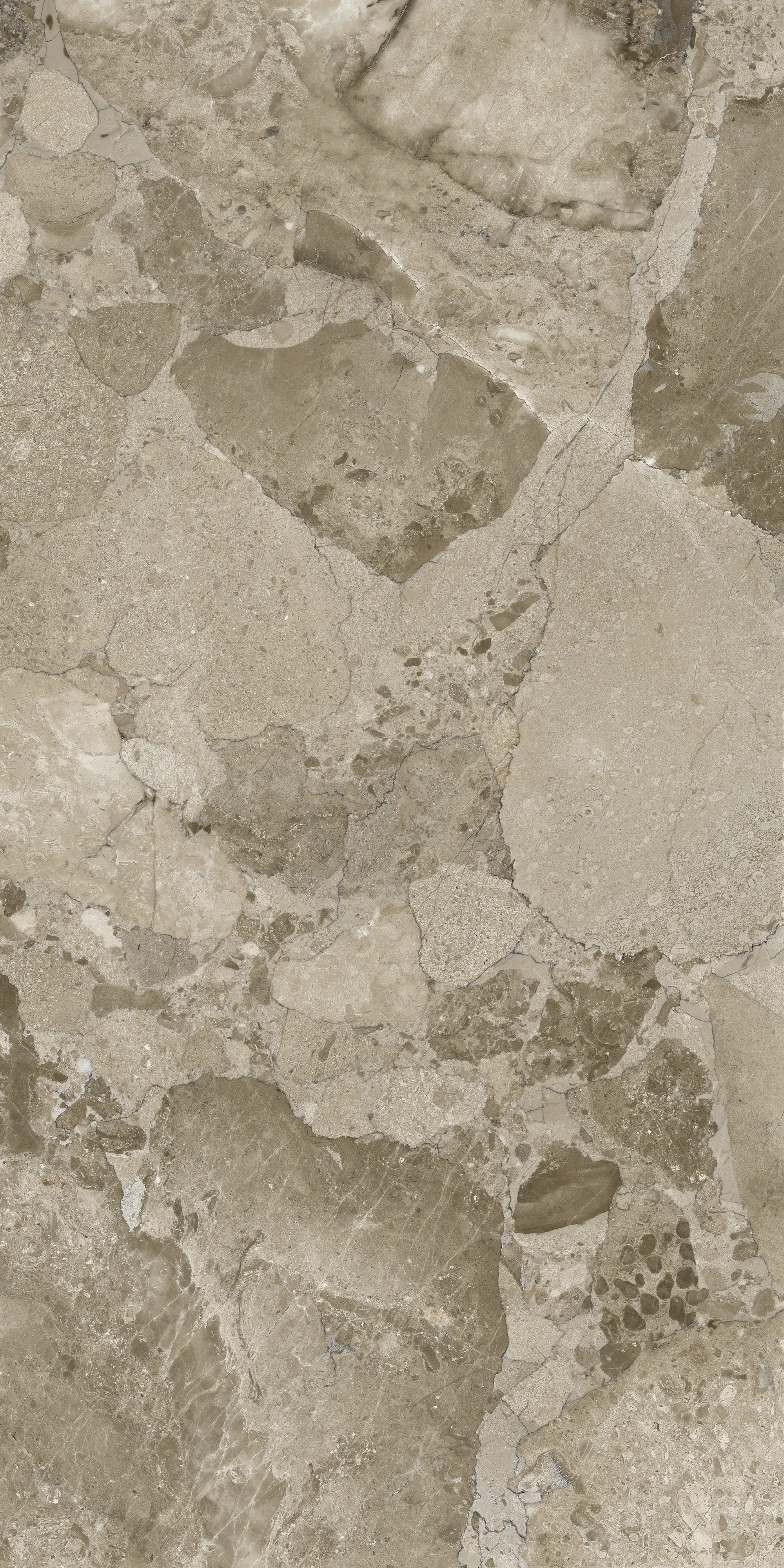Bodenfliese Feinsteinzeug Coppo di Como 60 x 120 cm taupe