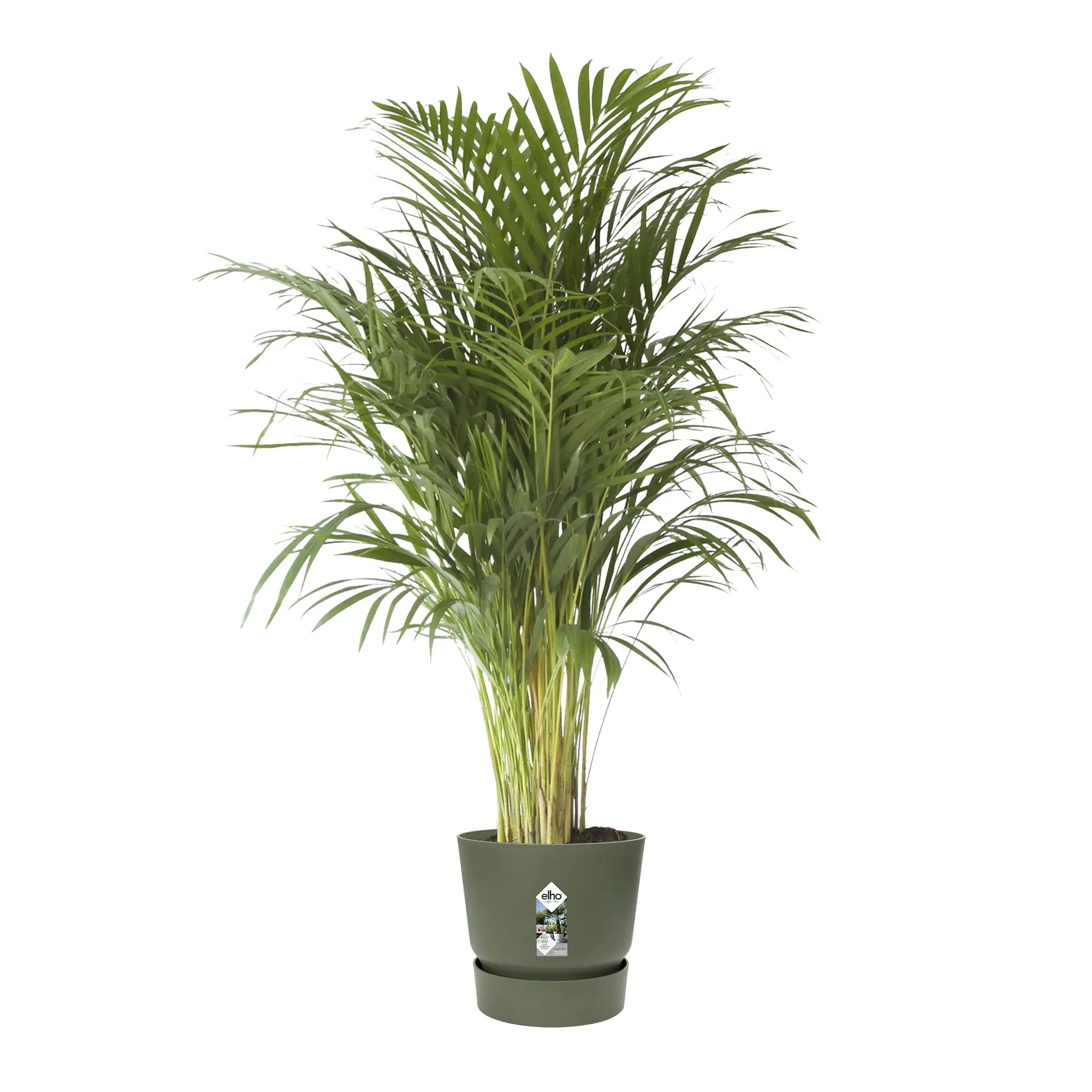Elho Pflanztopf Greenville Ø 40 x 37 cm laubgrün
