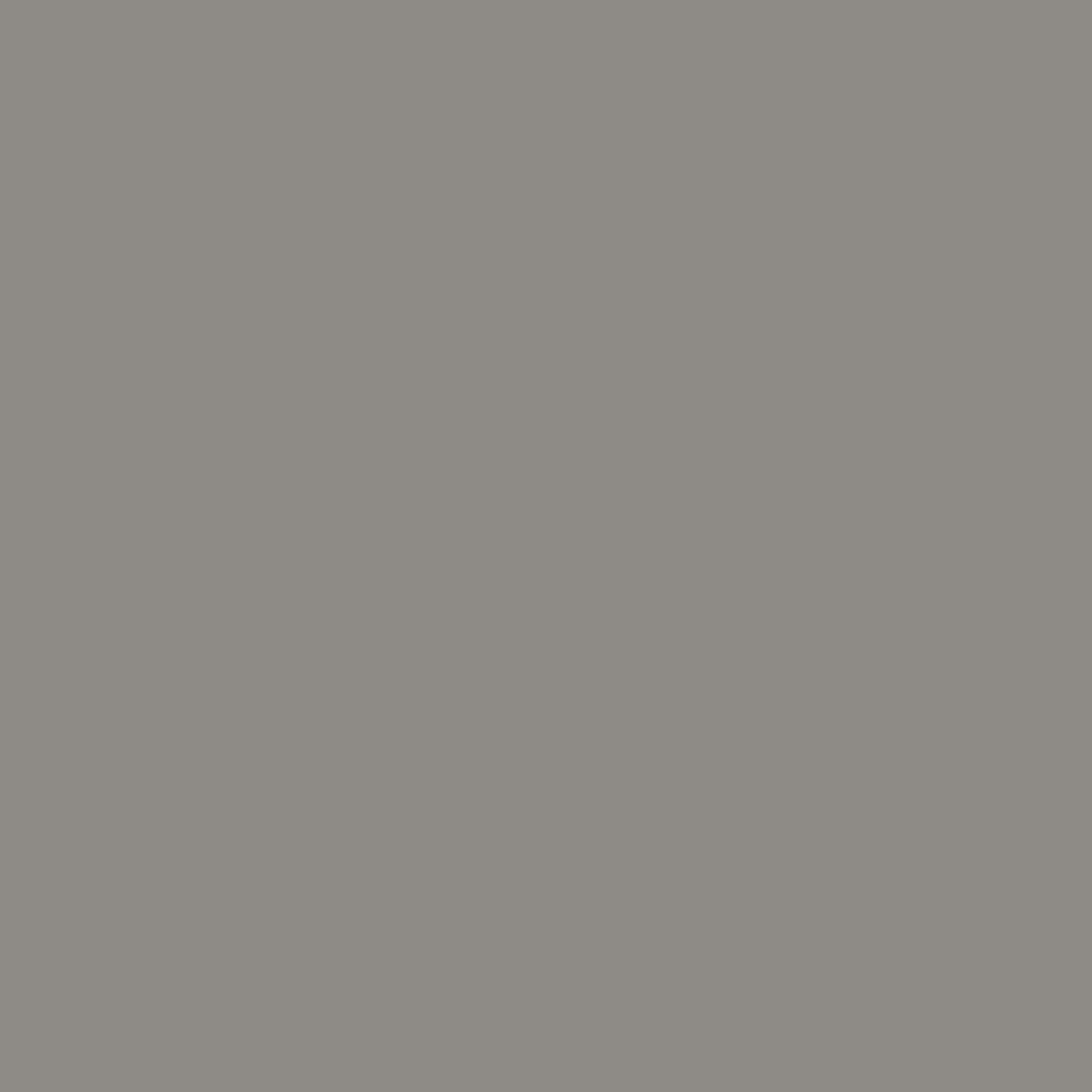 Duni Servietten granitgrau 33 x 33 cm - 50er Pack