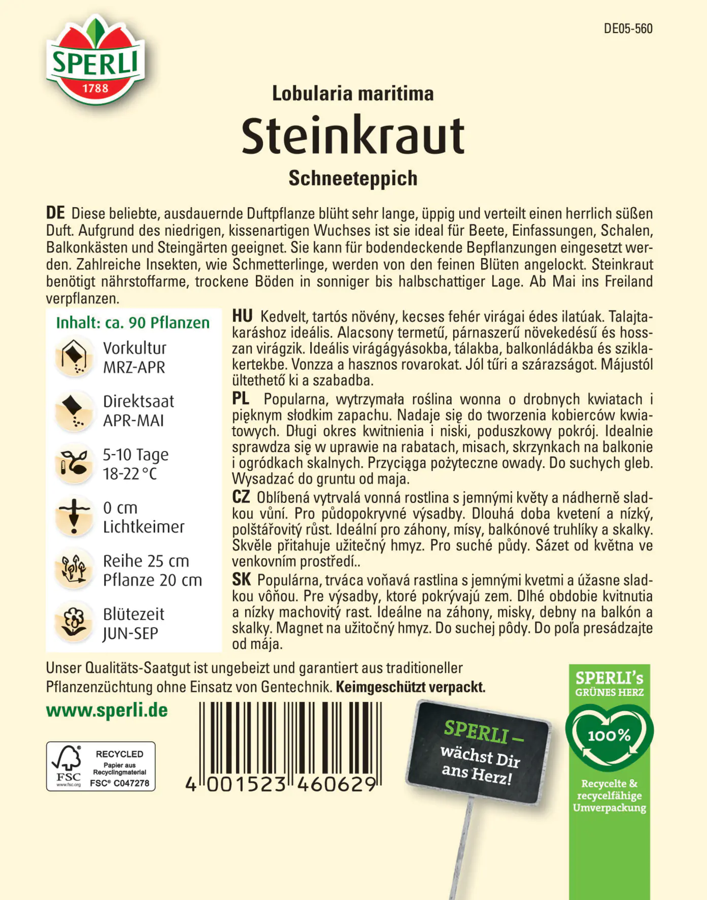 Sperli Steinkraut Schneeteppich