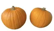 Zierkürbis Halloween ø 20 - 30cm