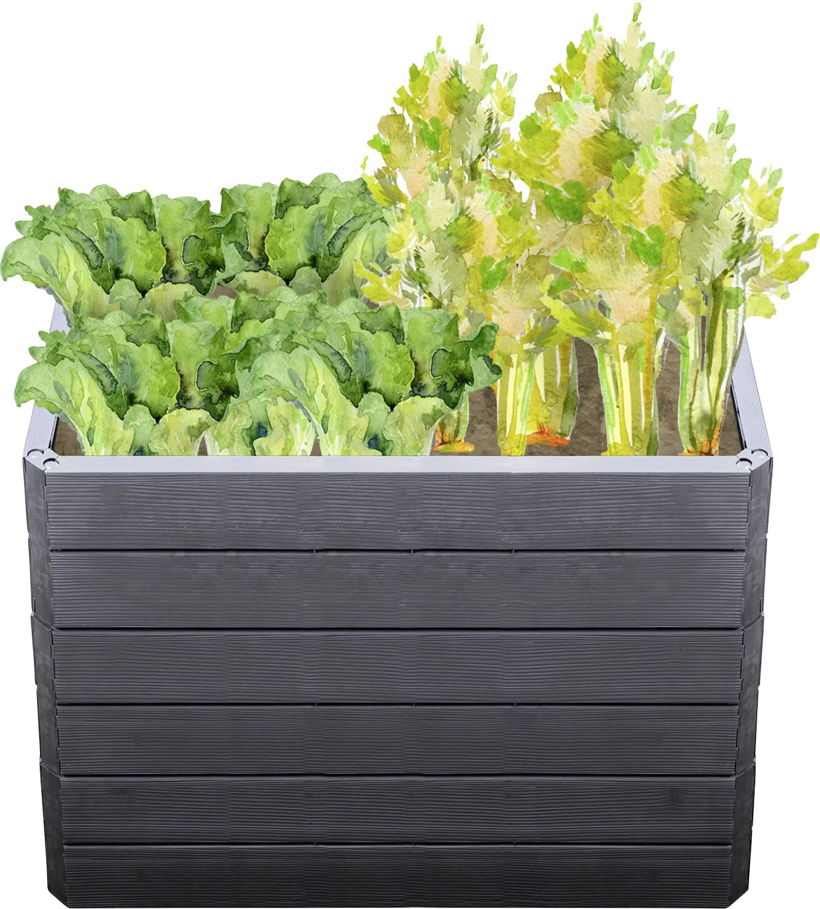 Garantia Hochbeet Ergo Quadro M 75 80 x 60 x 75 cm, wood, Wassersystem