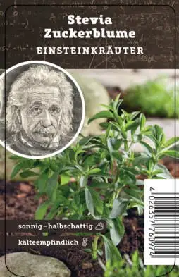 Einsteinkräuter - Stevia 12 cm Topf