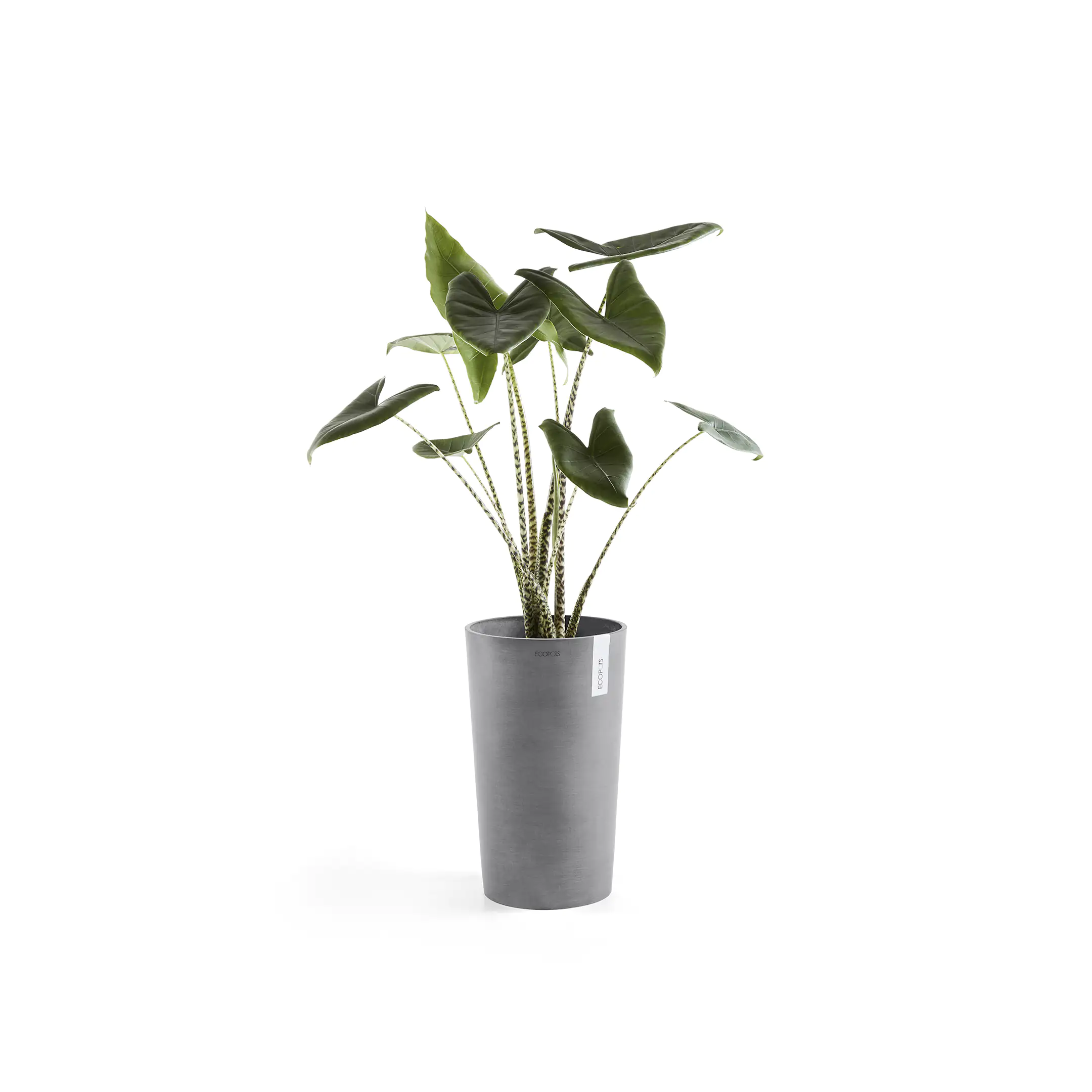 Ecopots Pflanztopf Amsterdam Ø 30 x 50 cm grau