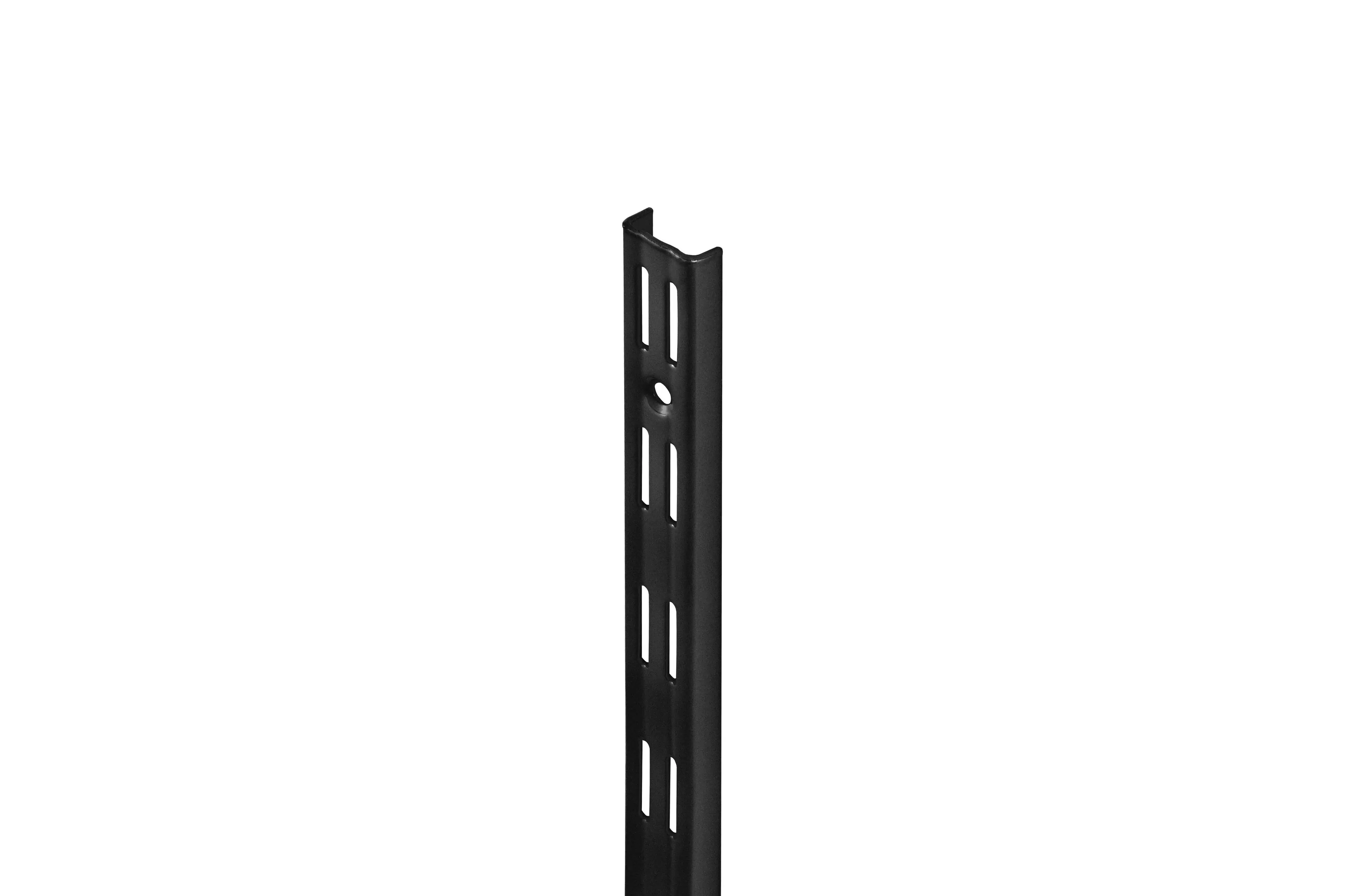 Dolle Wandschiene 2-Reihig 100 cm schwarz Metall