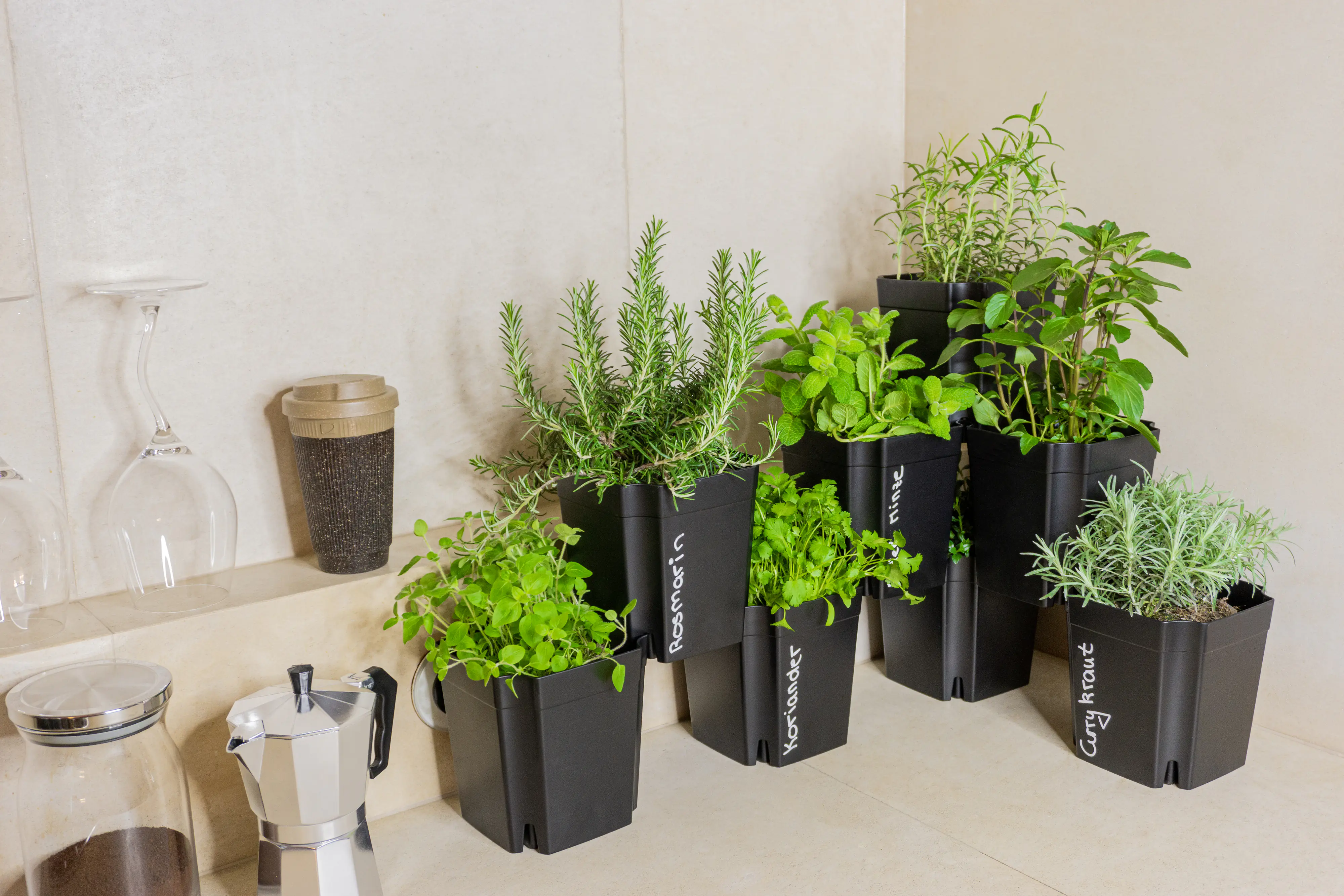 FlexiFlora Pflanztopf Modulares Pflanzsystem 14,5 x 14,5 x 15 cm Kunststoff anthrazit 