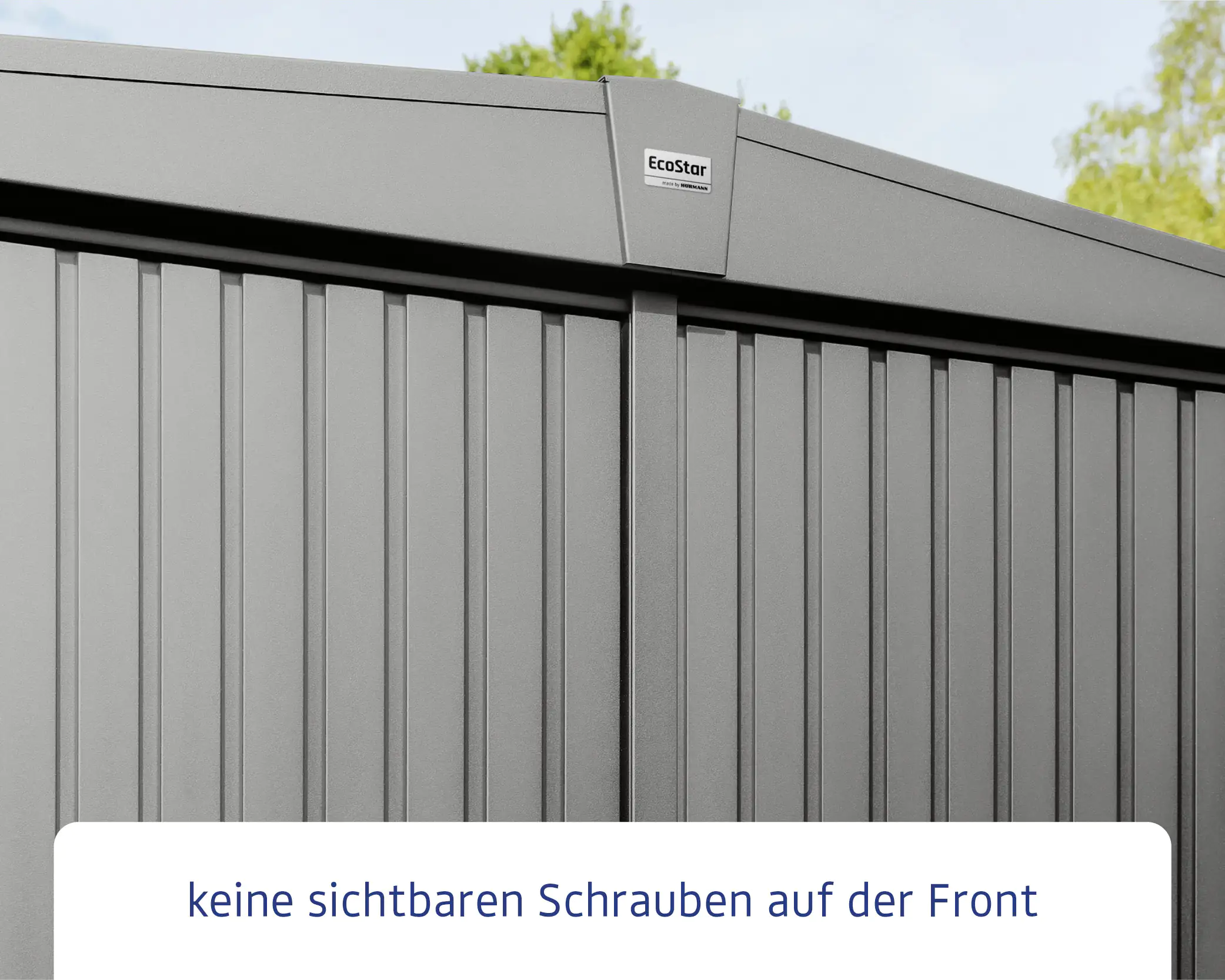 EcoStar Gerätehaus Trend-S Typ 2 258,8 x 247,7 x 216 cm graualuminium