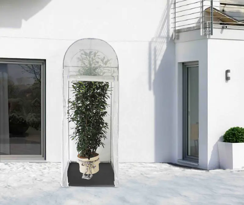Videx Überwinterungszelt Palmen Palm Protect 250 x 100 cm transparent