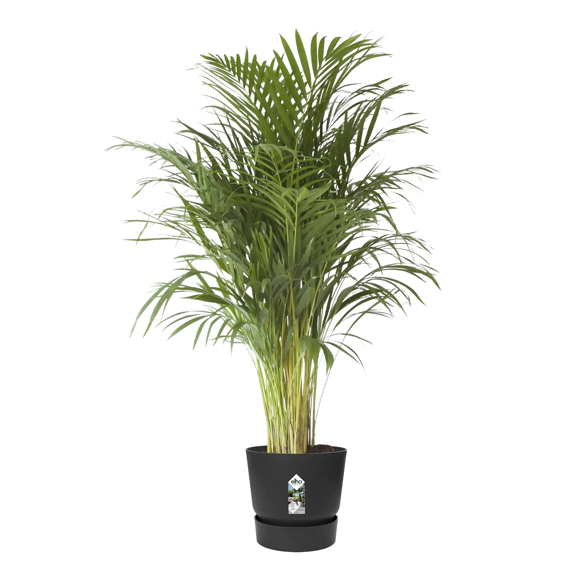 Elho Pflanztopf Greenville Ø 47 x 44 cm living schwarz