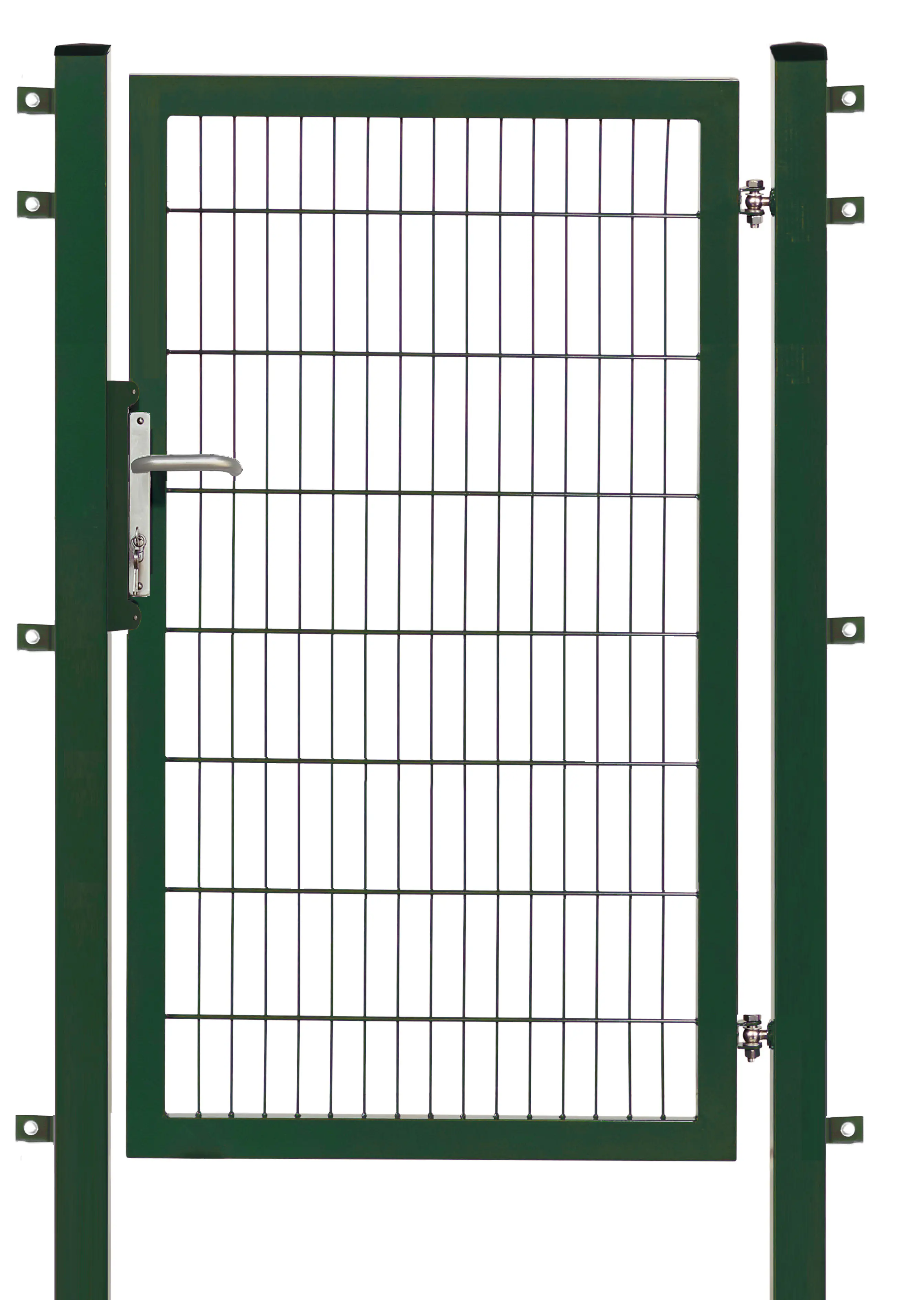 Floraworld Gartentor Premium 100 x 160 cm moosgrün