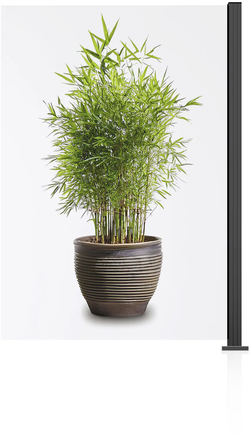 Ambiente Glaszaun Erweiterungsset Klarglas 187 x 124,2 cm anthrazit