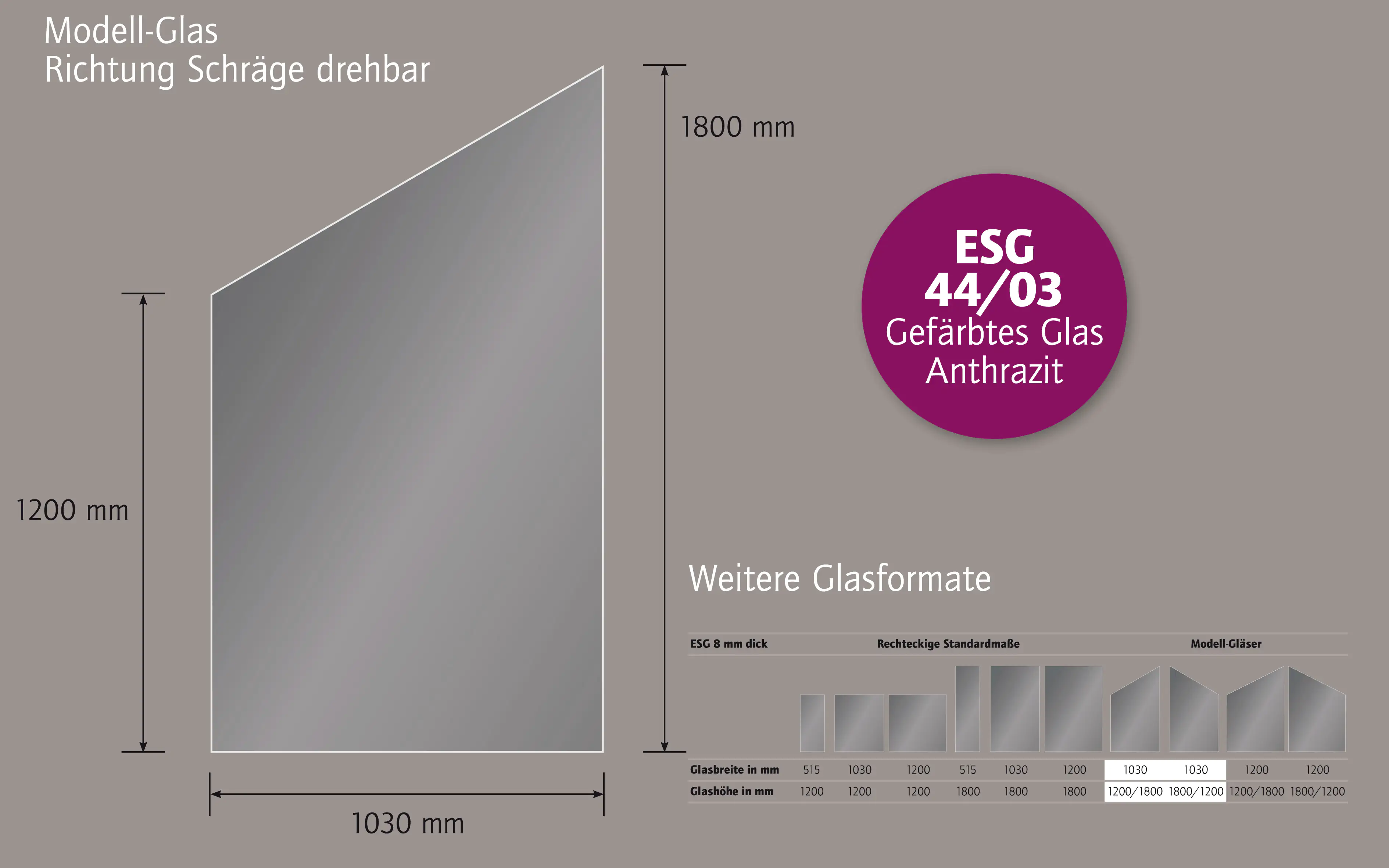 Ambiente Glaszaun Dekor 44/03 schräg 103 x 120/180 cm gehärtetes 8 mm Glas