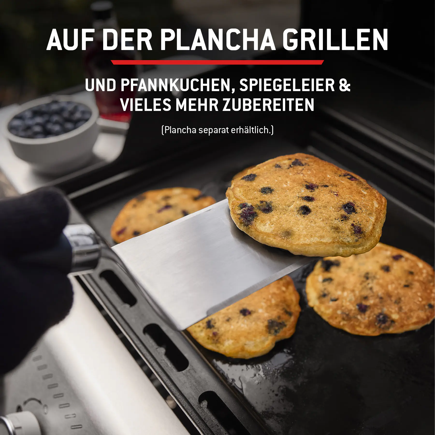 Weber Gasgrill Spirit E210 Grillfläche: 52 x 45 cm 